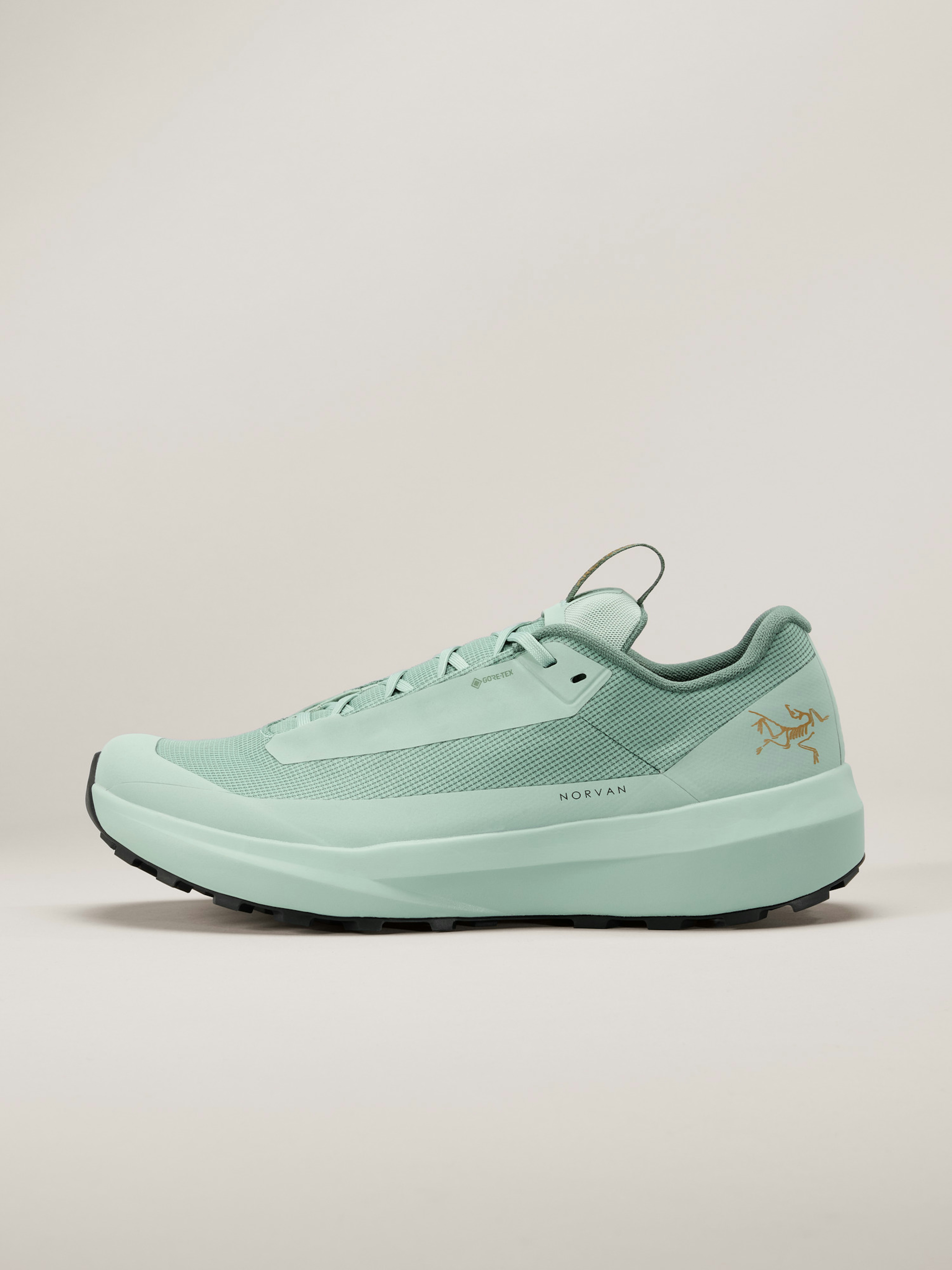 Norvan LD 4 GTX Shoe Men's