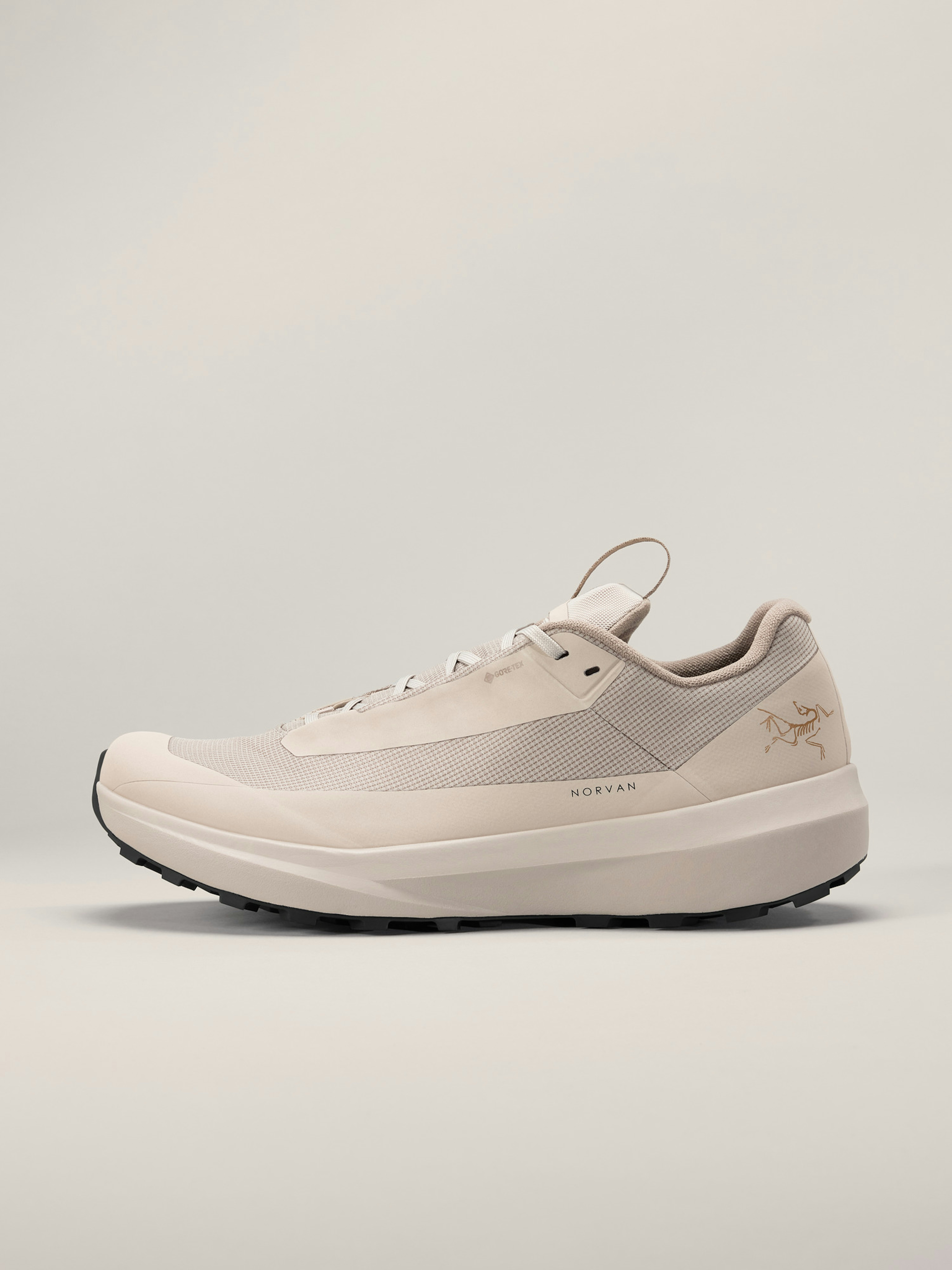 Norvan LD 4 GTX Shoe Men's