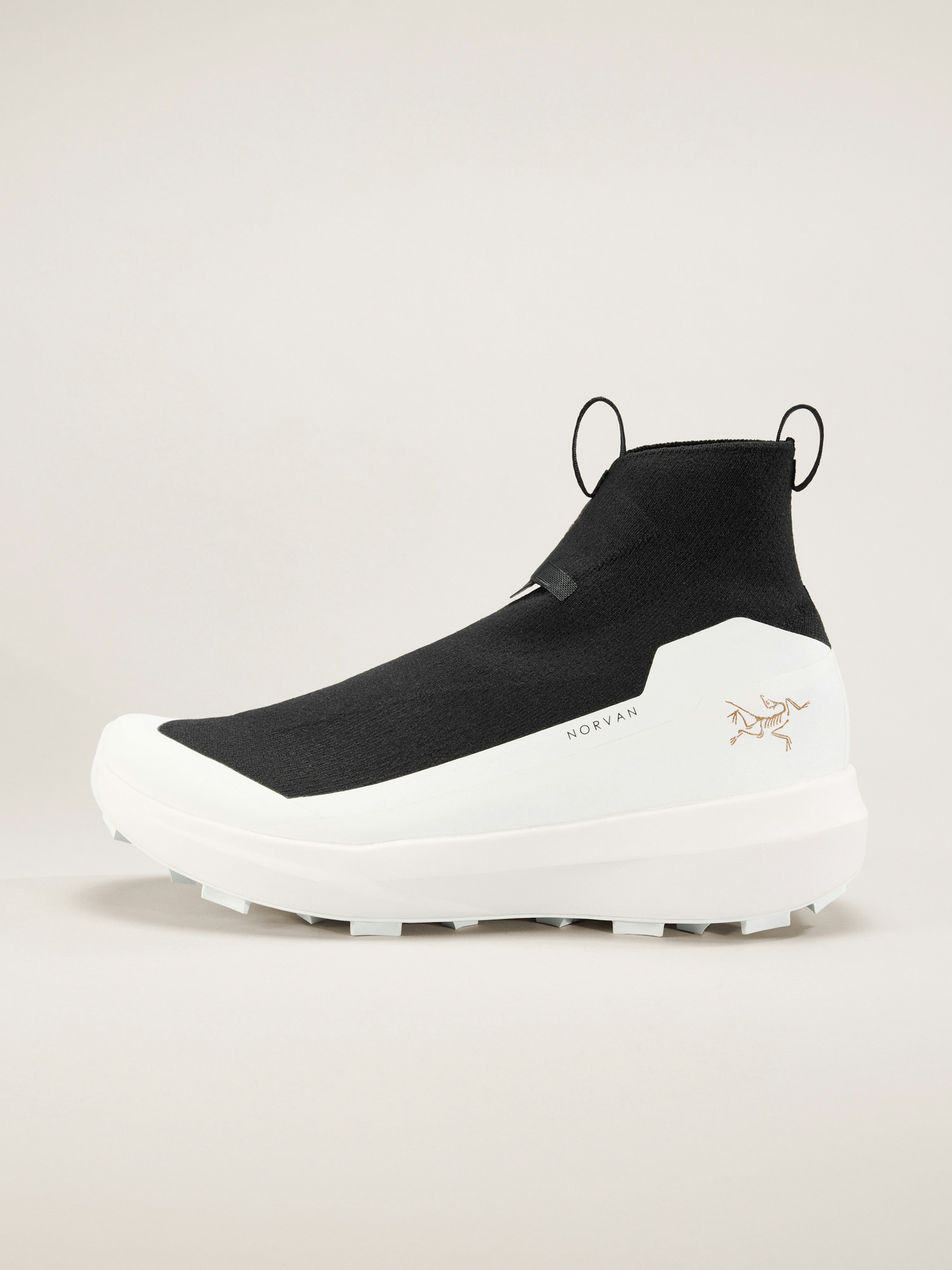 Norvan 4 Nivalis Shoe Men's