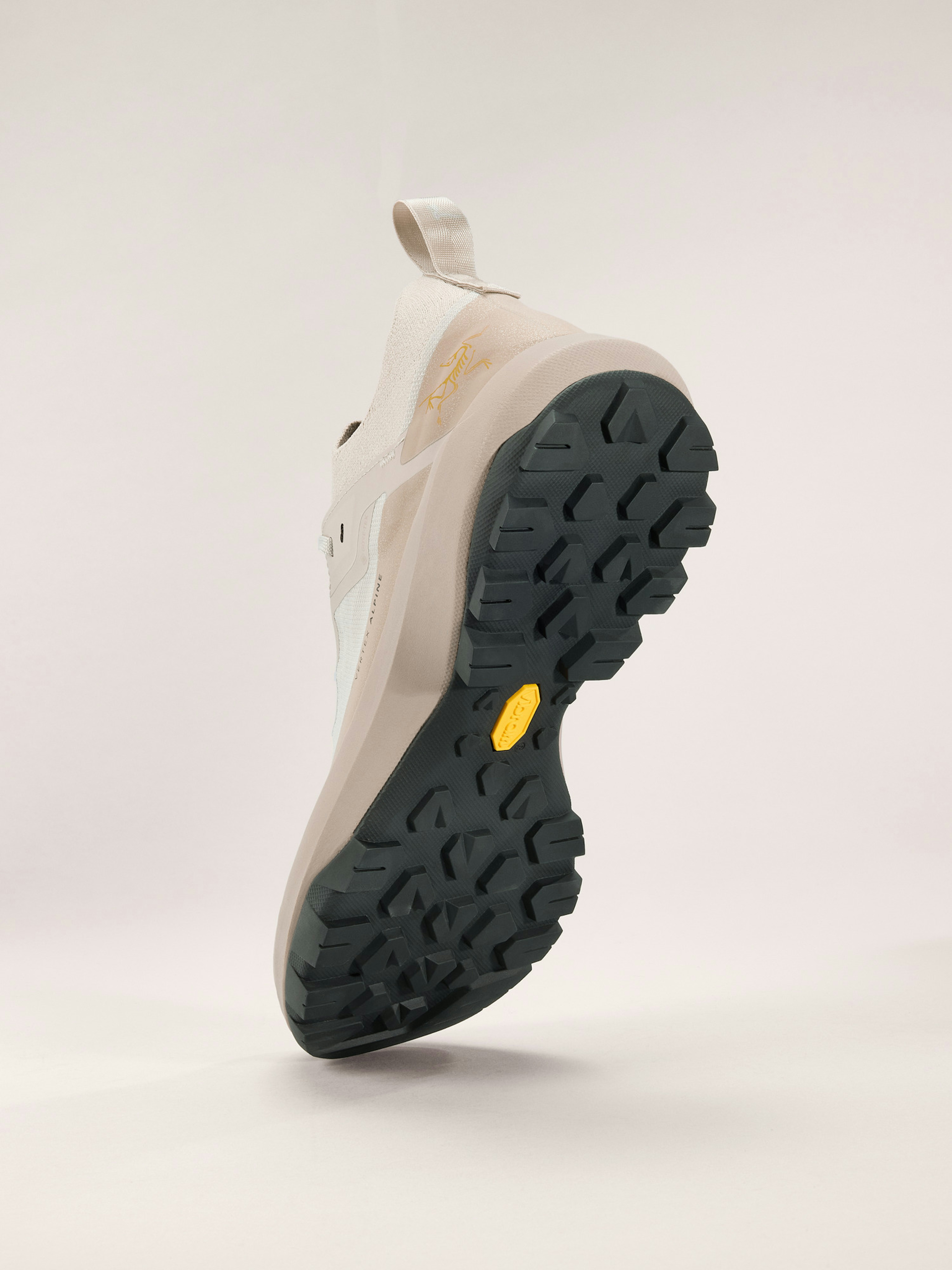 Vertex Alpine GTX Shoe Men's