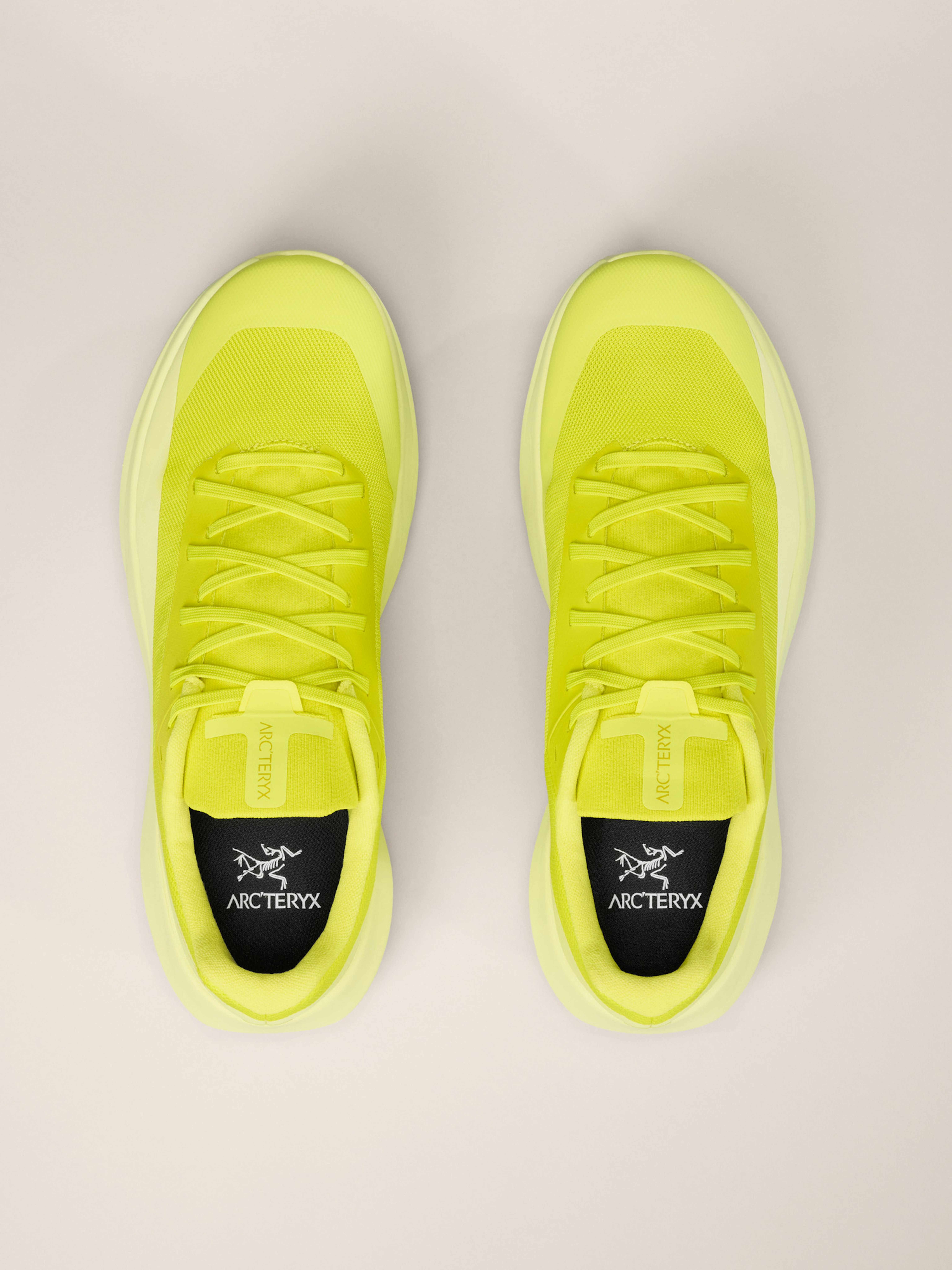 Norvan LD 4 Shoe Men's