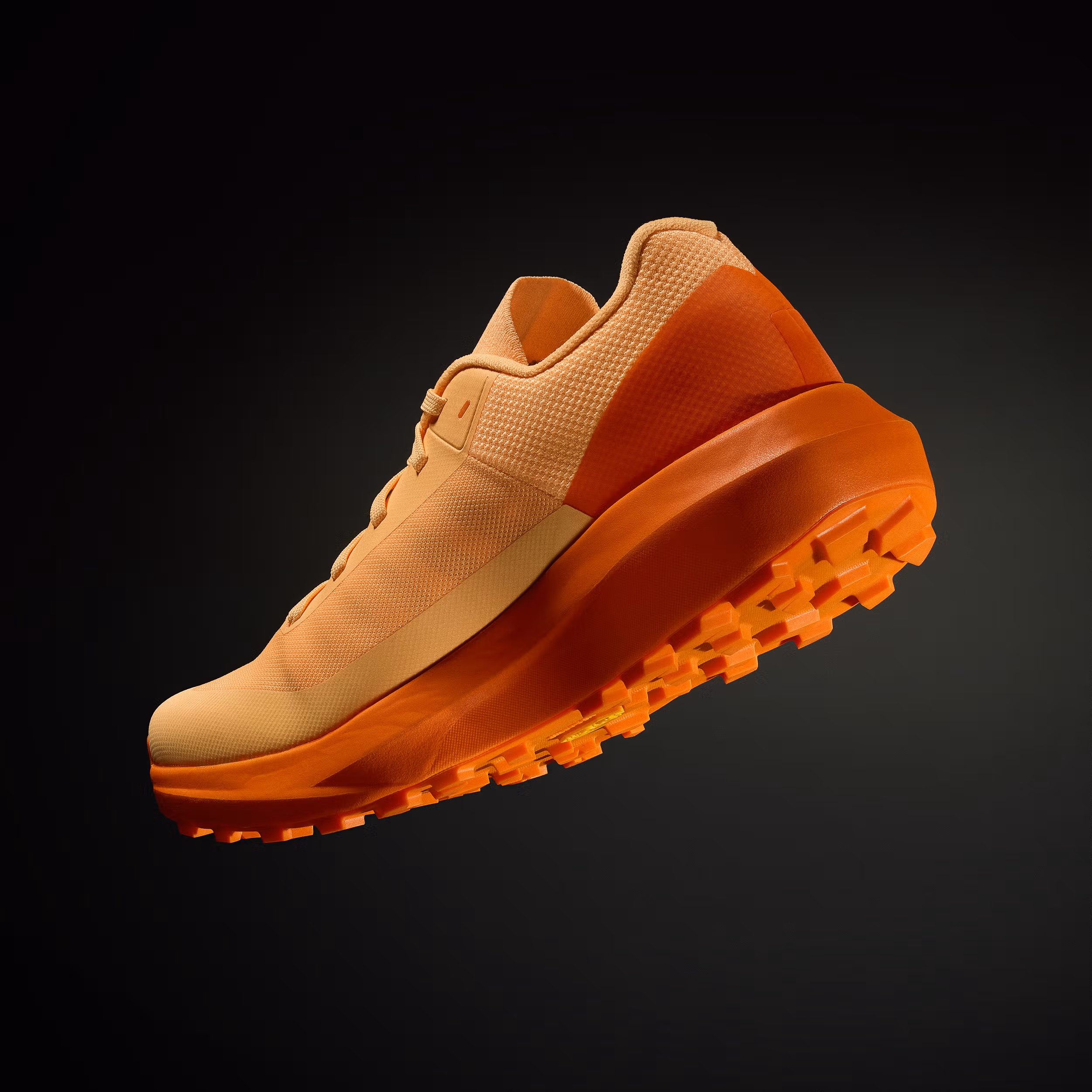 Norvan LD 4 GTX Shoe Men's