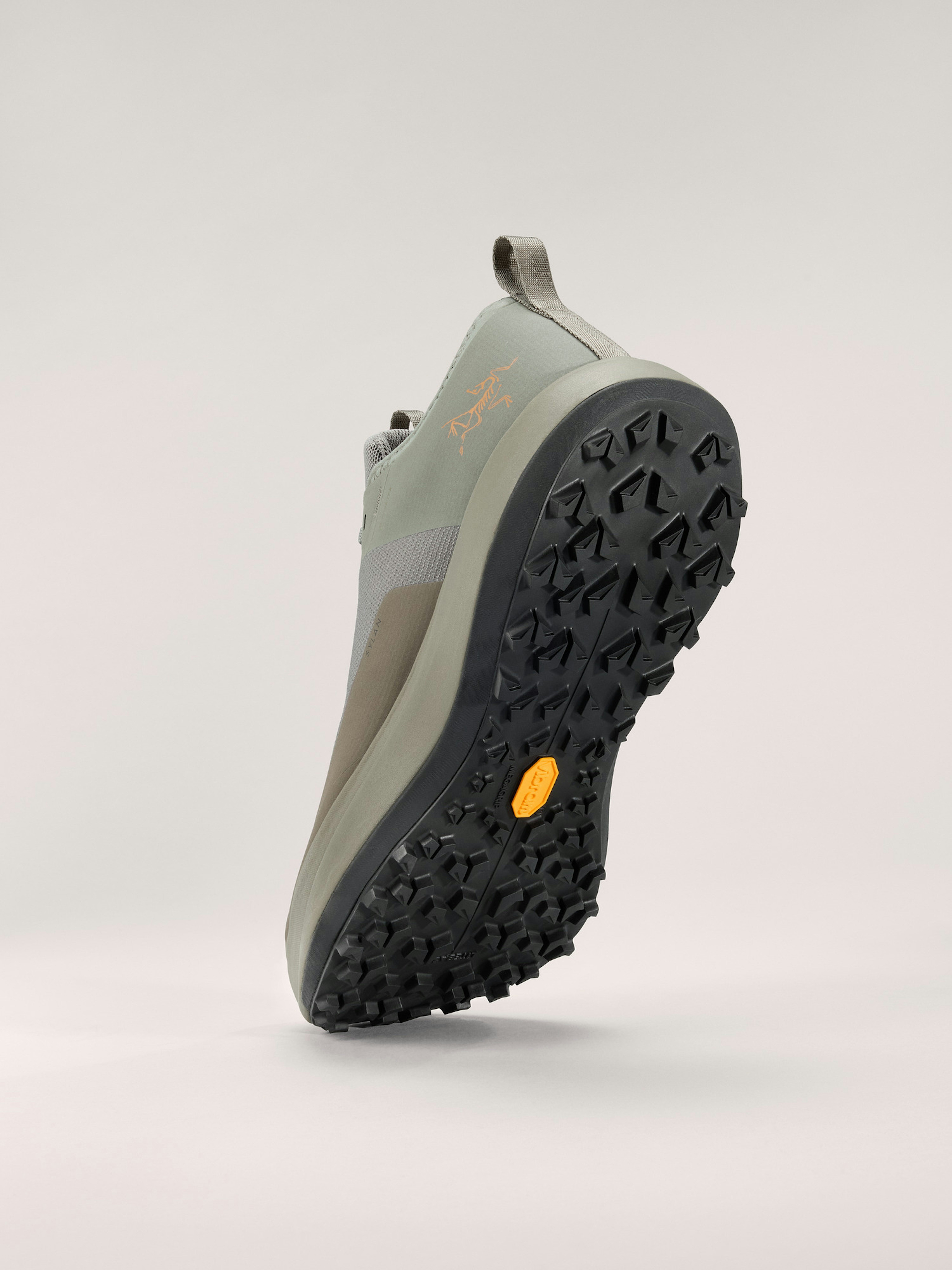 Sylan GTX Shoe Men's