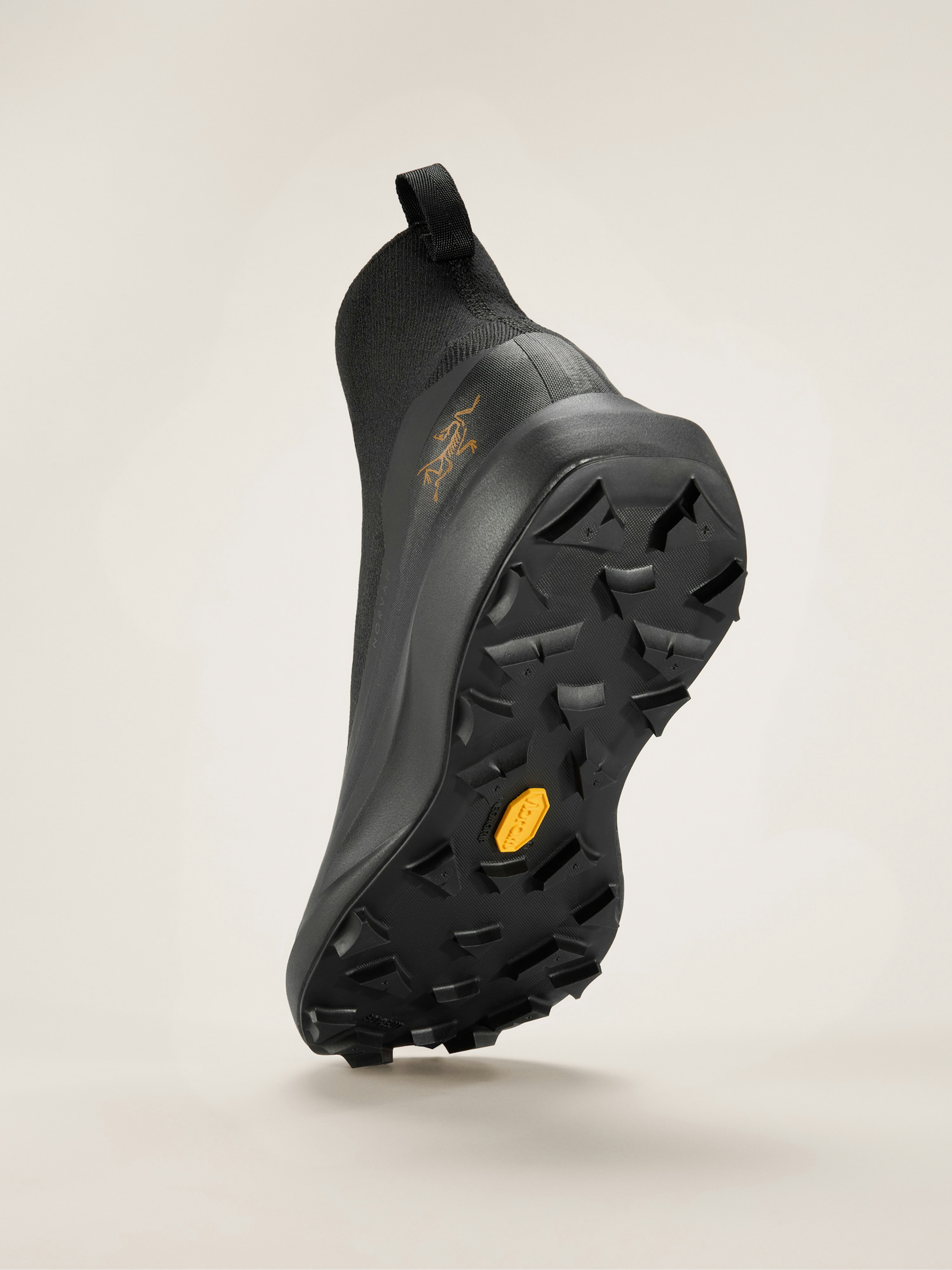 Norvan 4 Nivalis Shoe Men's