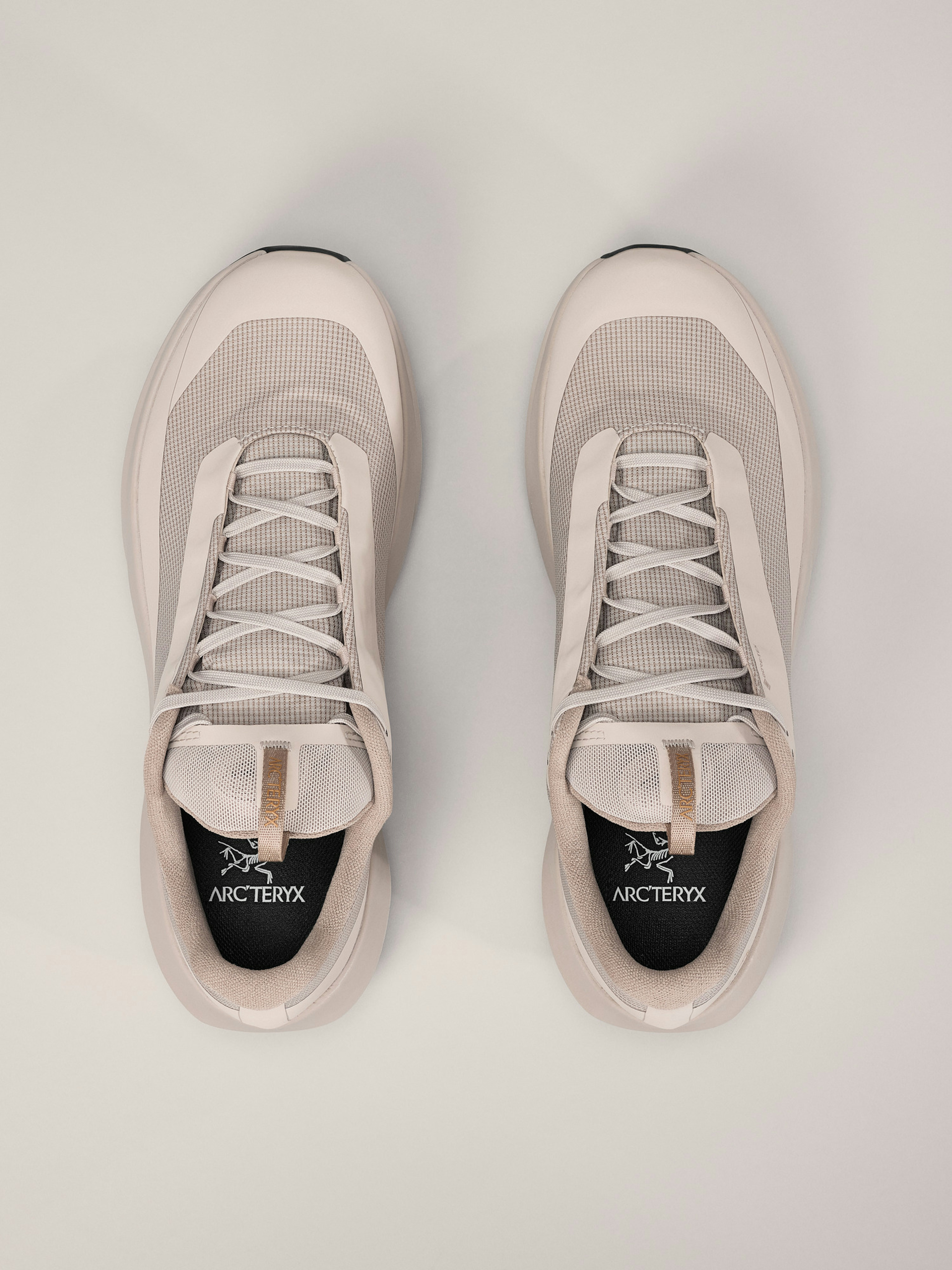 Norvan LD 4 GTX Shoe Men's