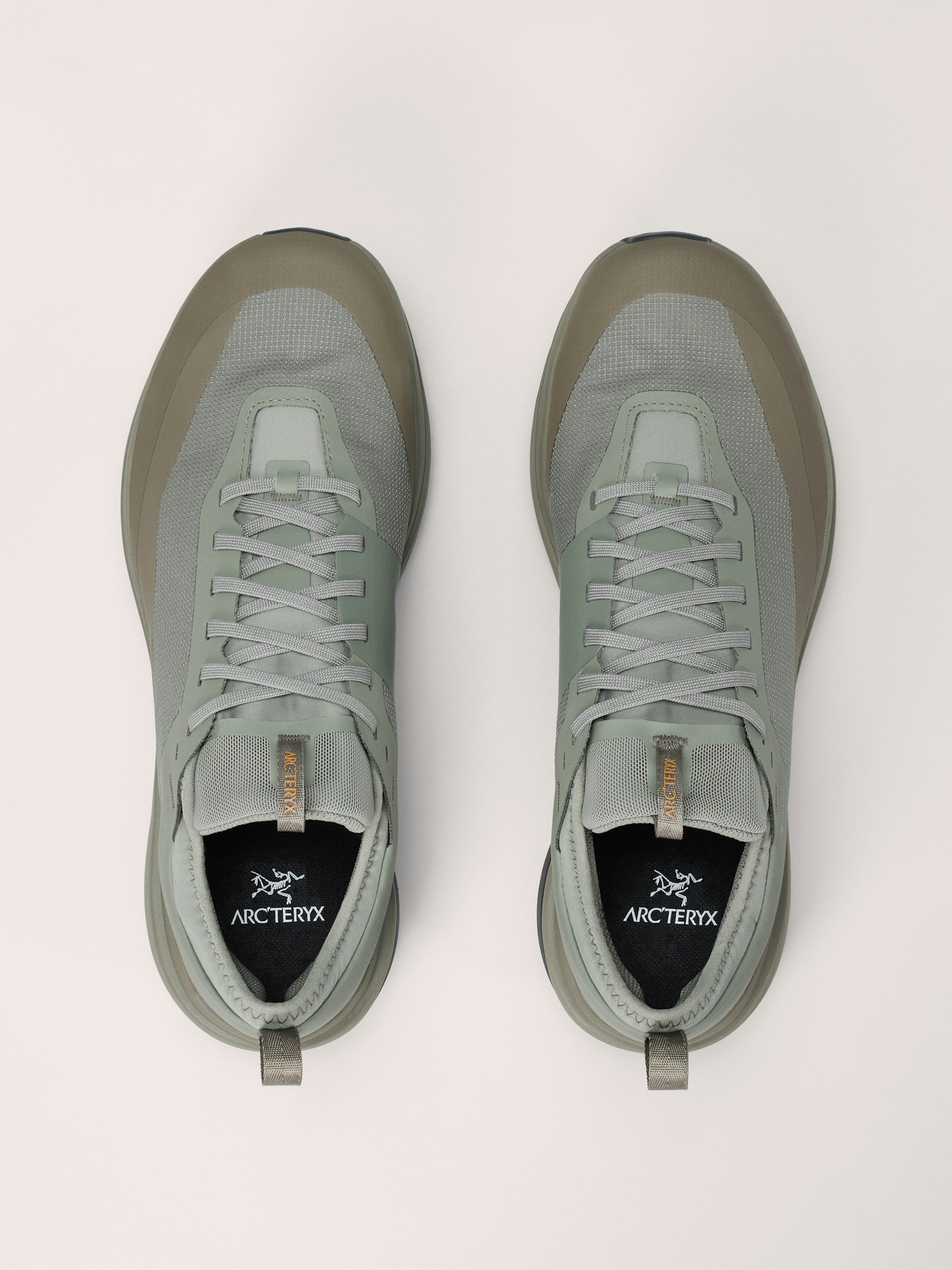 Sylan GTX Shoe Men's