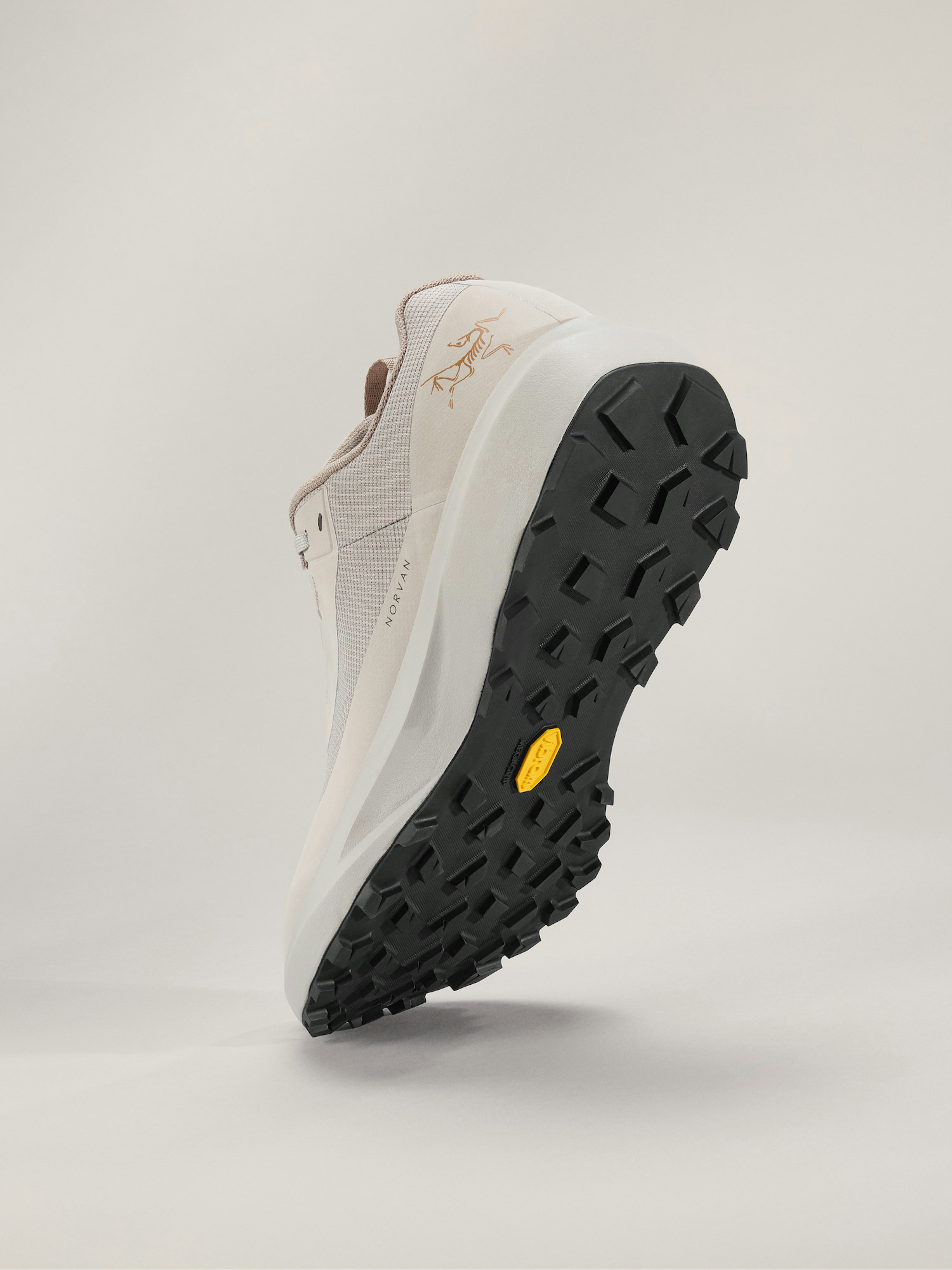 Norvan LD 4 GTX Shoe Men's