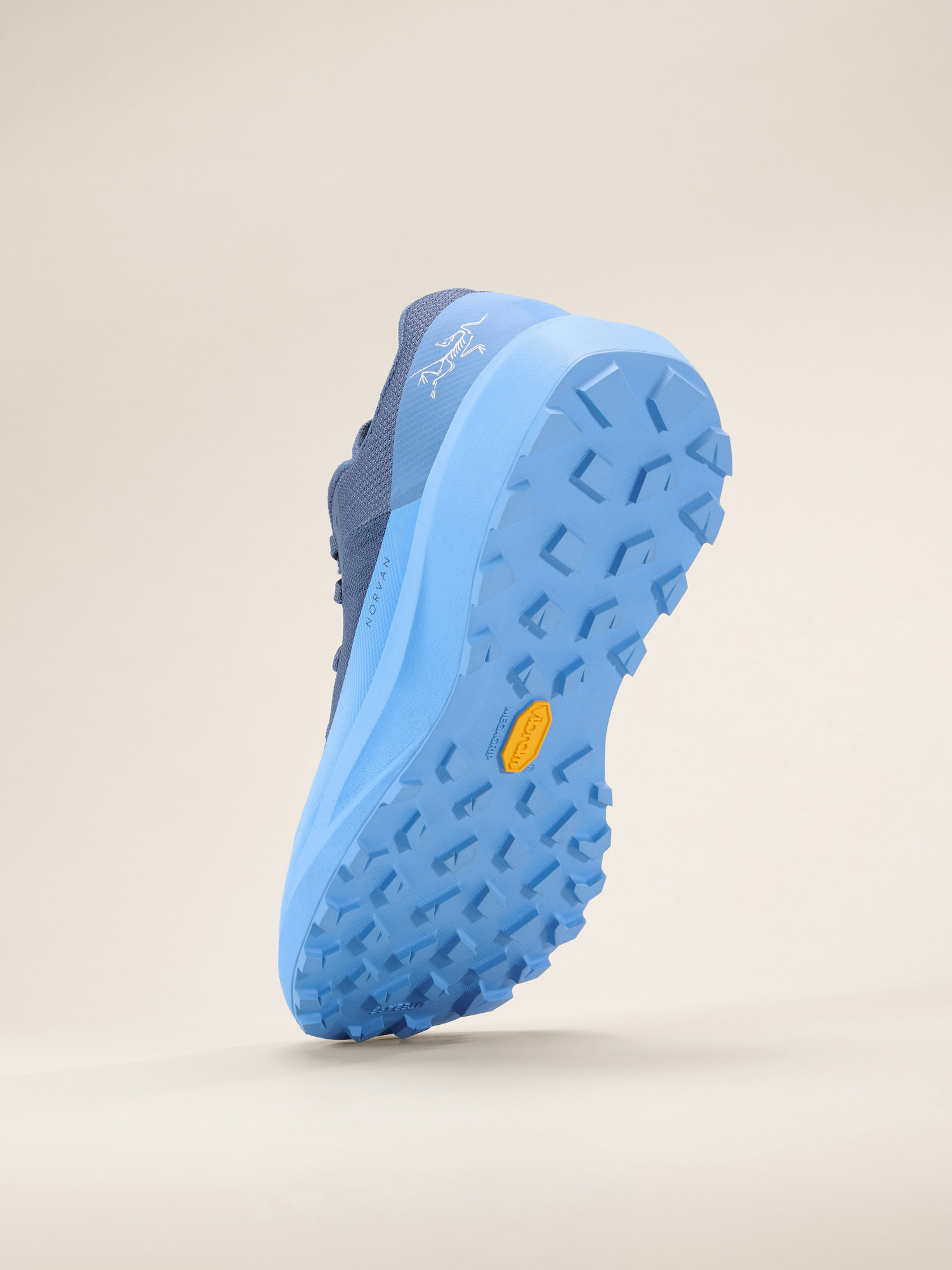 Norvan LD 4 Shoe Women's