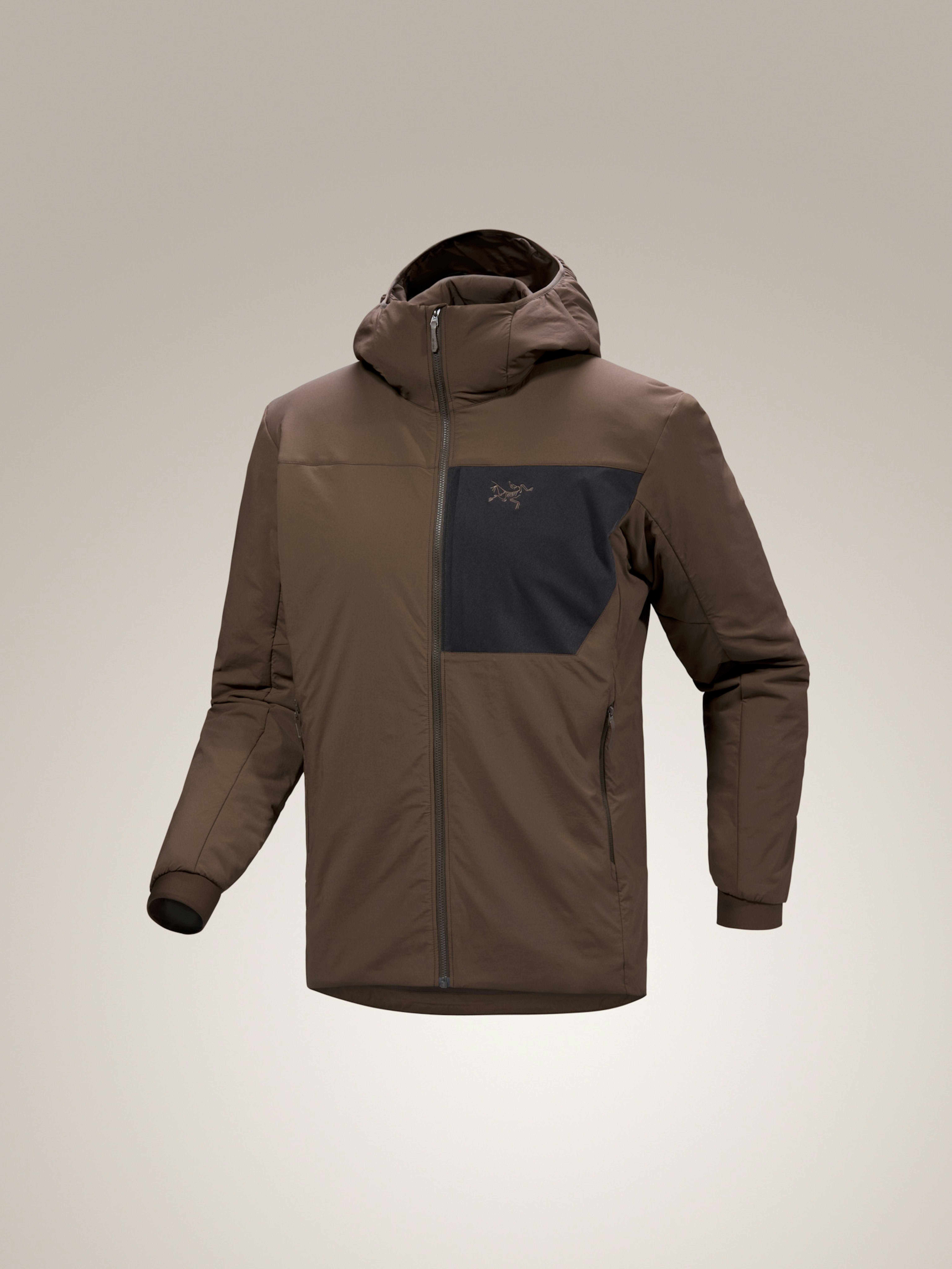 Proton Hoody Men's