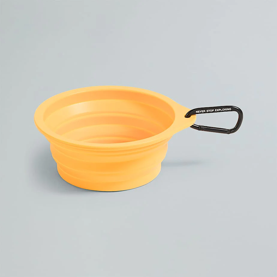 Collapsible Pet Bowl