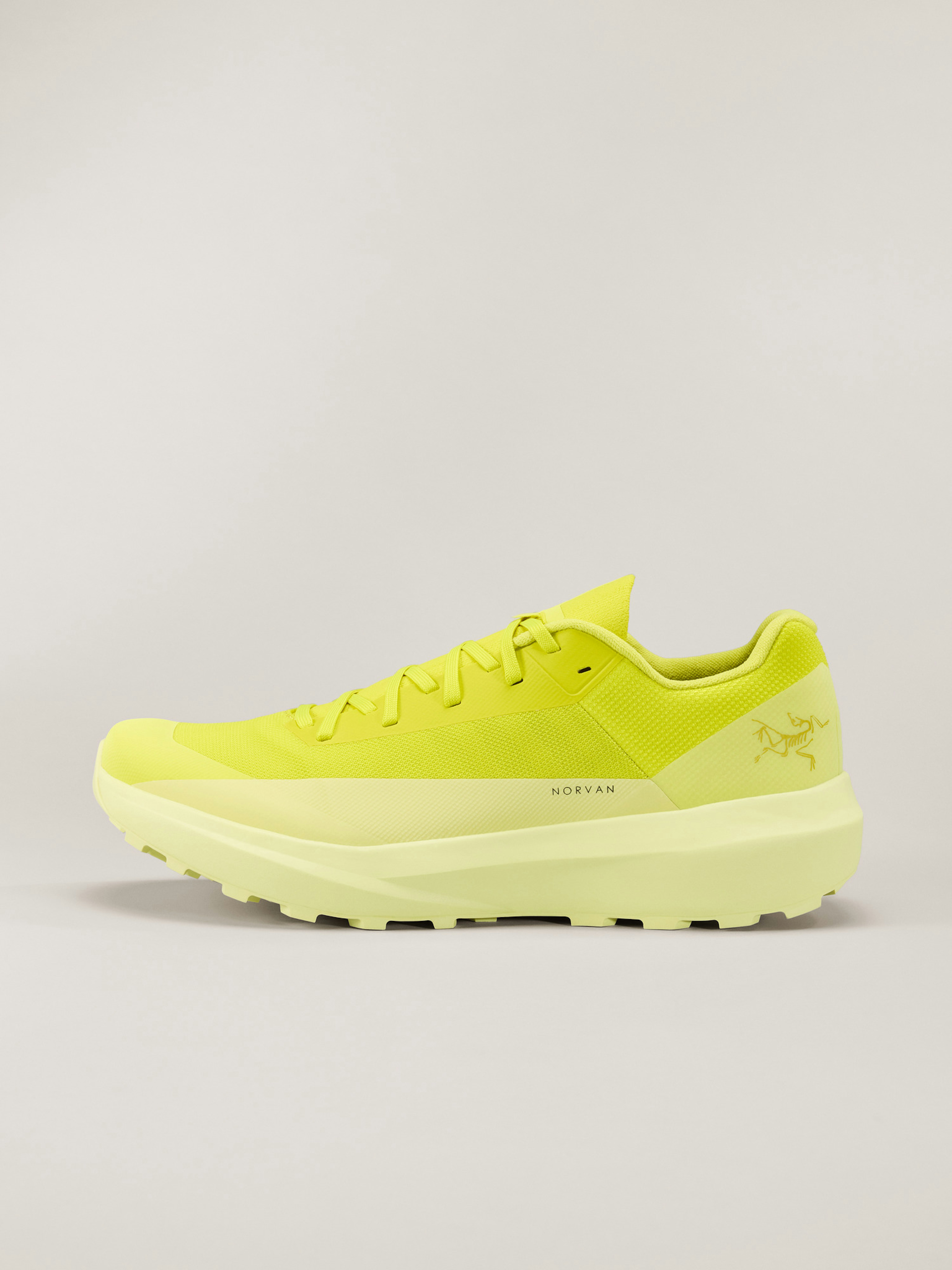 Norvan LD 4 Shoe Men's