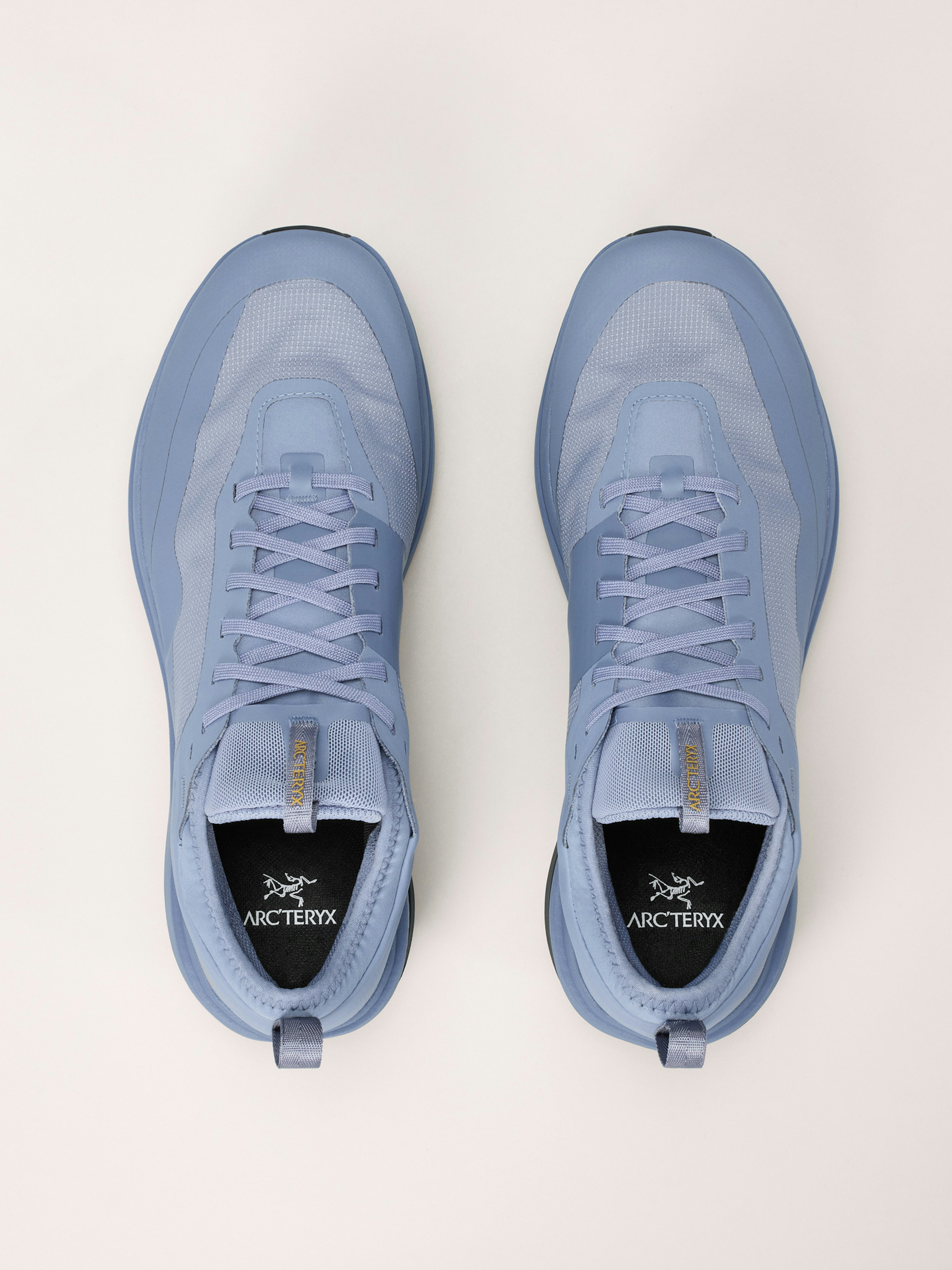 Sylan GTX Shoe Men's