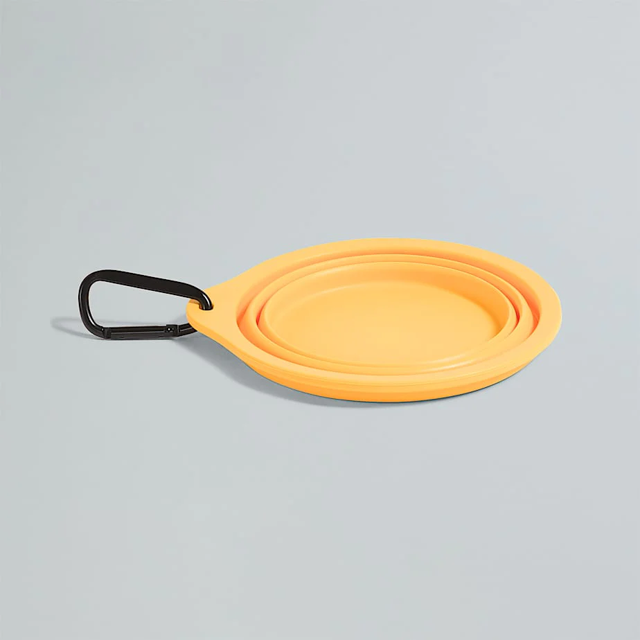 Collapsible Pet Bowl