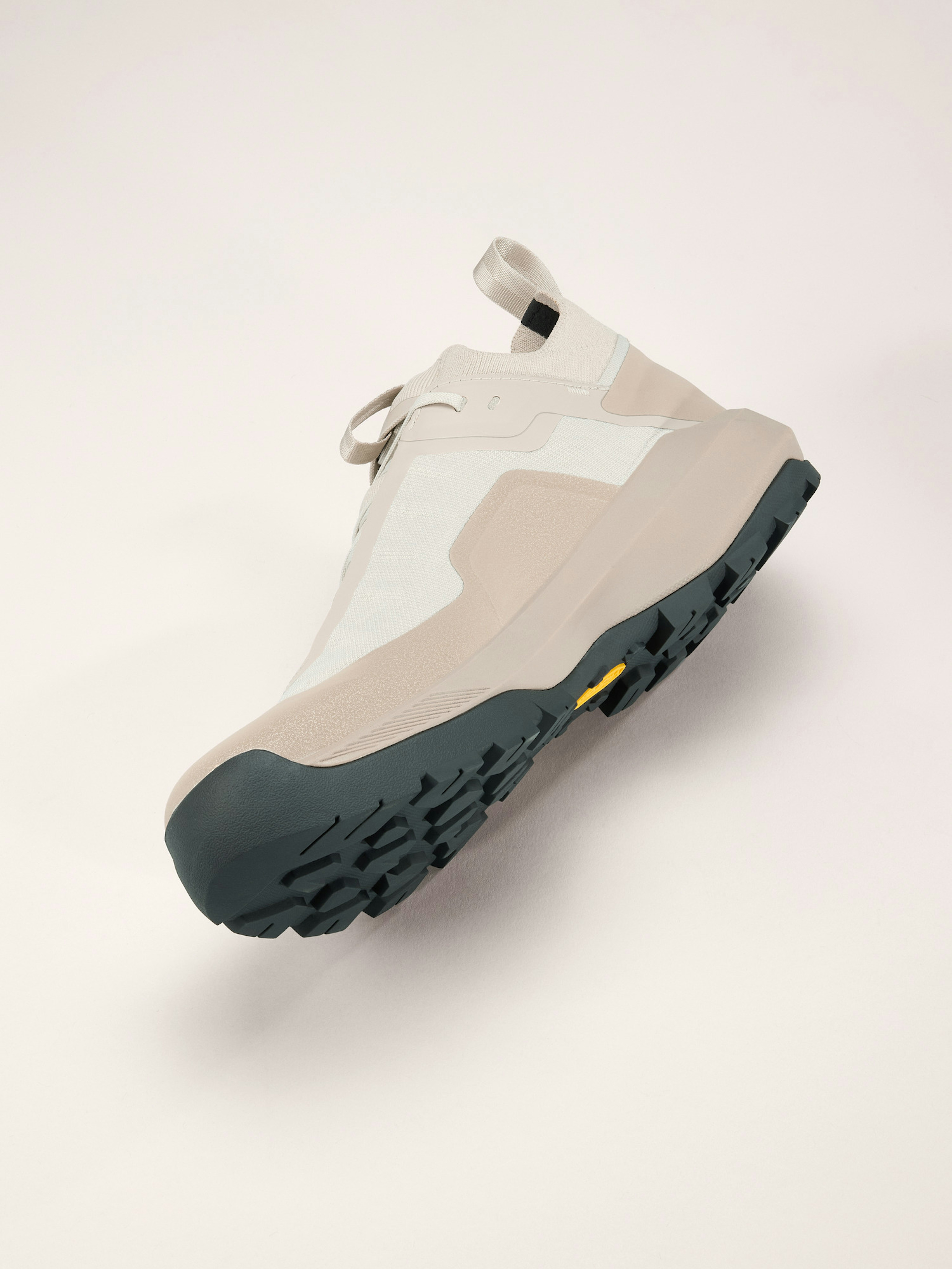 Vertex Alpine GTX Shoe Men's