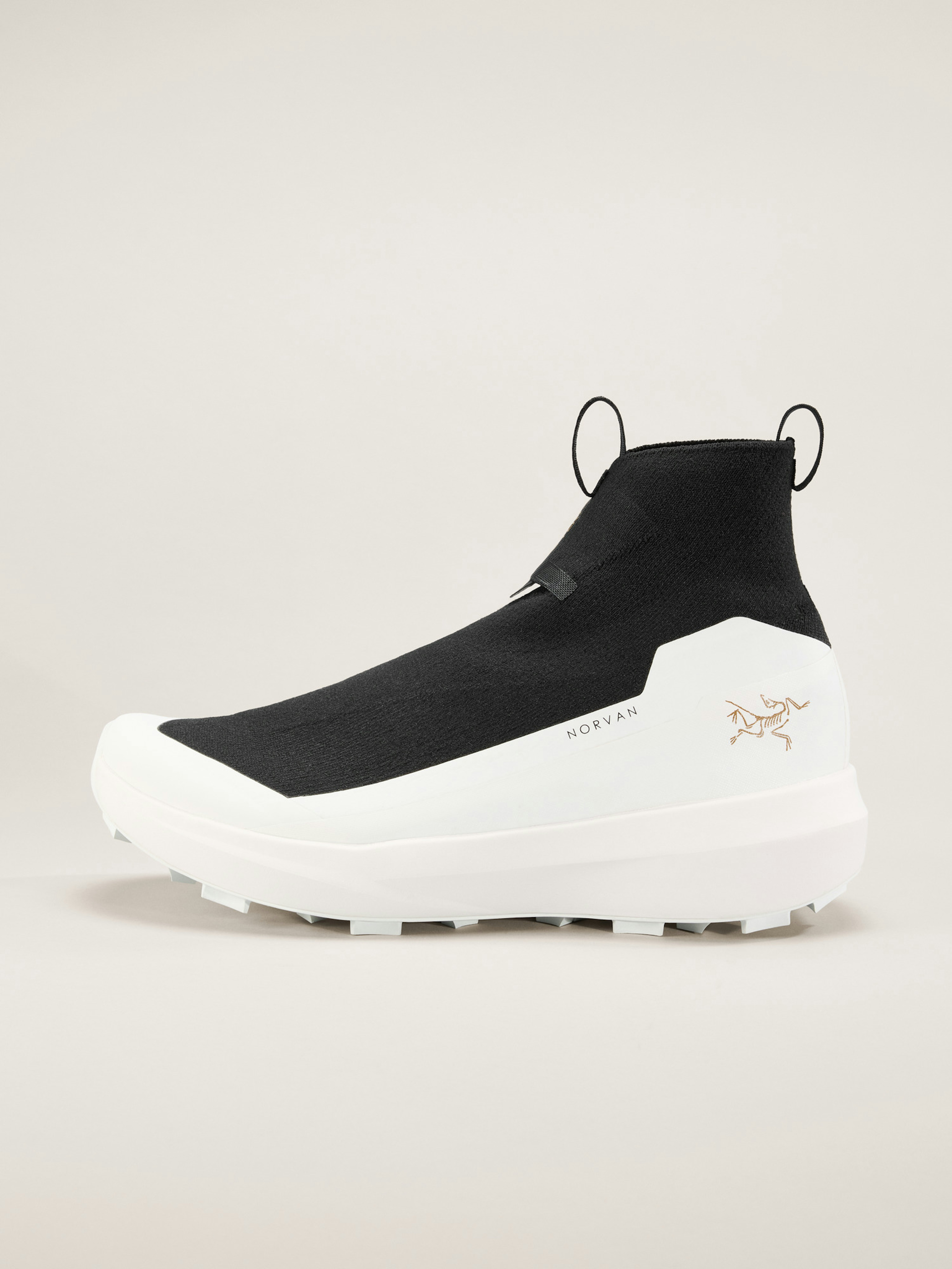 Norvan 4 Nivalis Shoe Women's