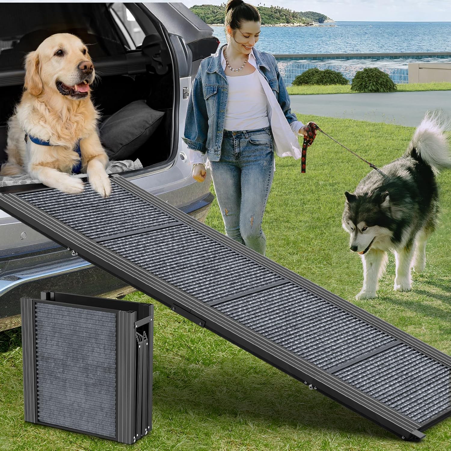 Dog Ramp for Car 63
