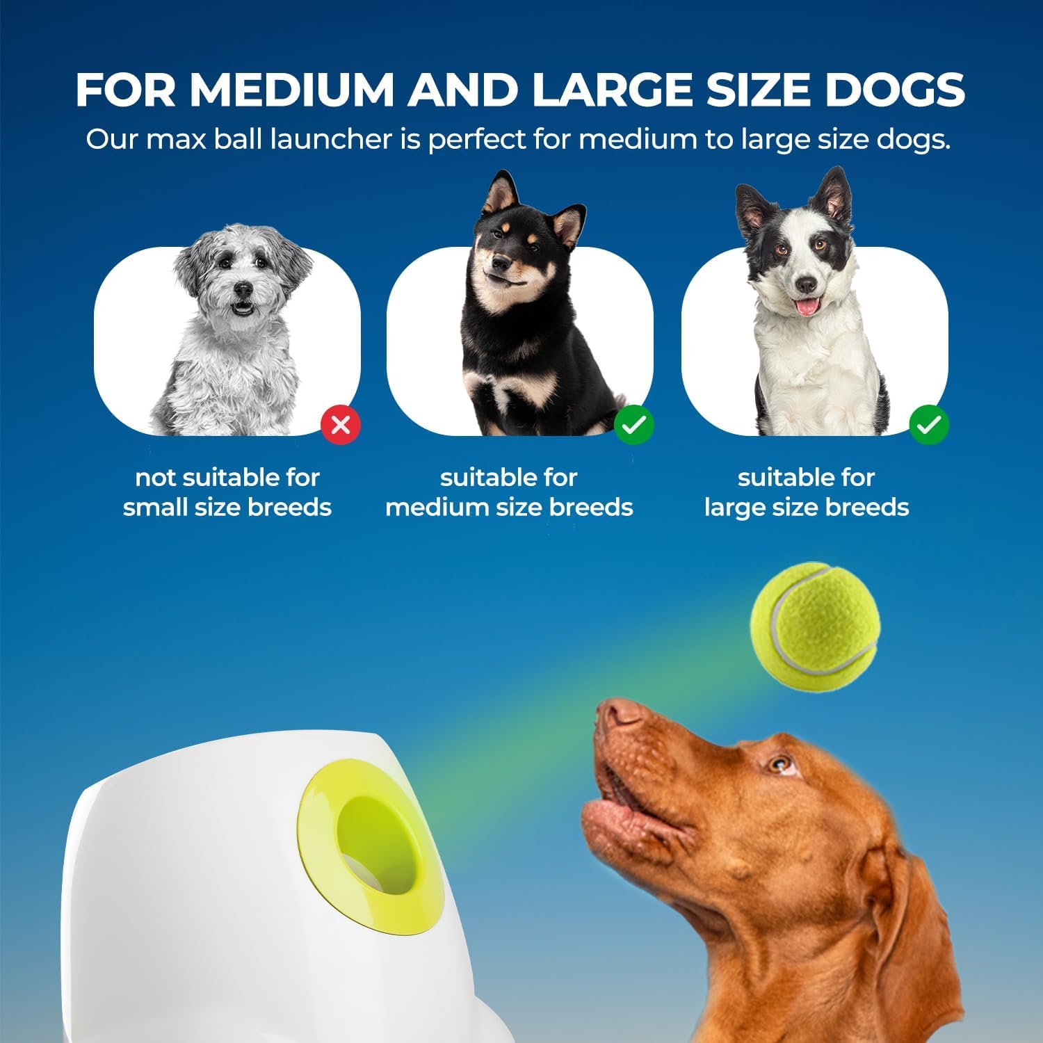 Automatic dog tennis ball launcher, suitable for medium to large dogs, interactive tennis ball thrower, rechargeable dog toy, provides mental stimulation and training games for energetic dogs.