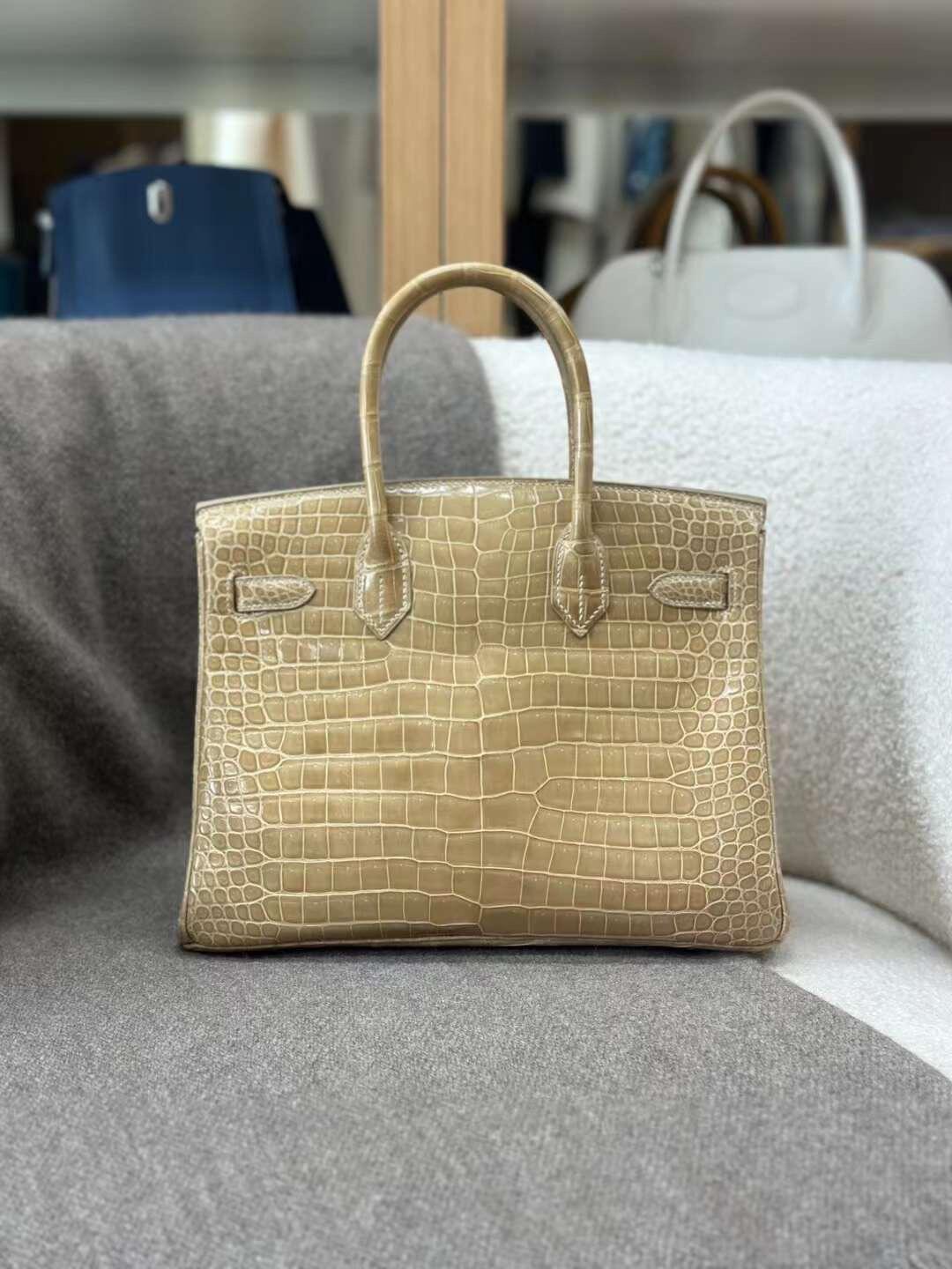 beige silver buckle shiny inverted V crocodile birkin 25-30CM - Artisantouchss