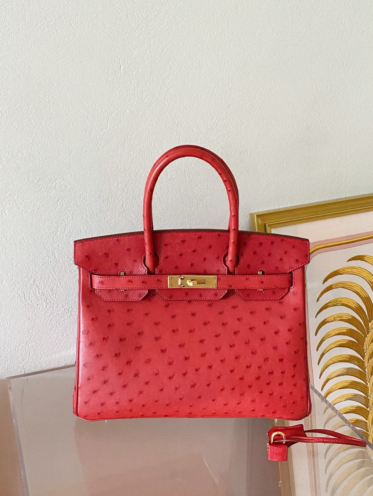 Birkin 25-35 gold buckle custom Ostrich leather - Artisantouchss