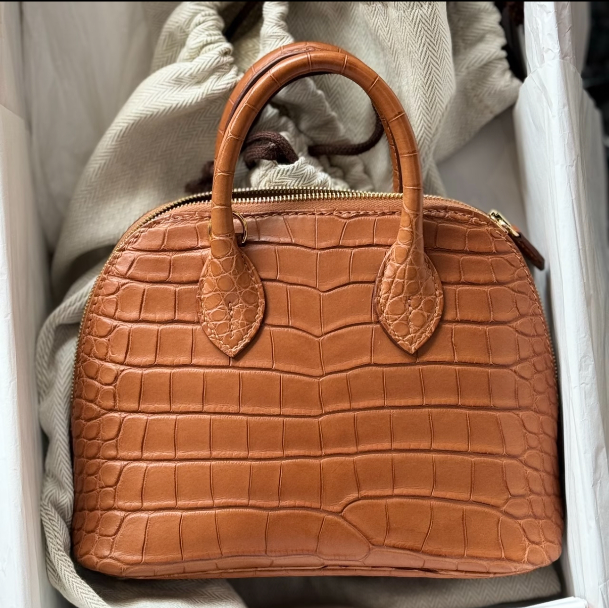 Bolide Mini 18CM Matte crocodile leather brown - Artisantouchss