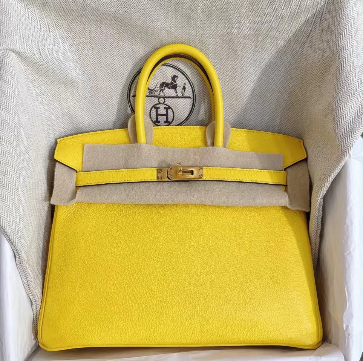 Bikrin 25-35 Naples Yellow Gold Buckle Customization - Artisantouchss