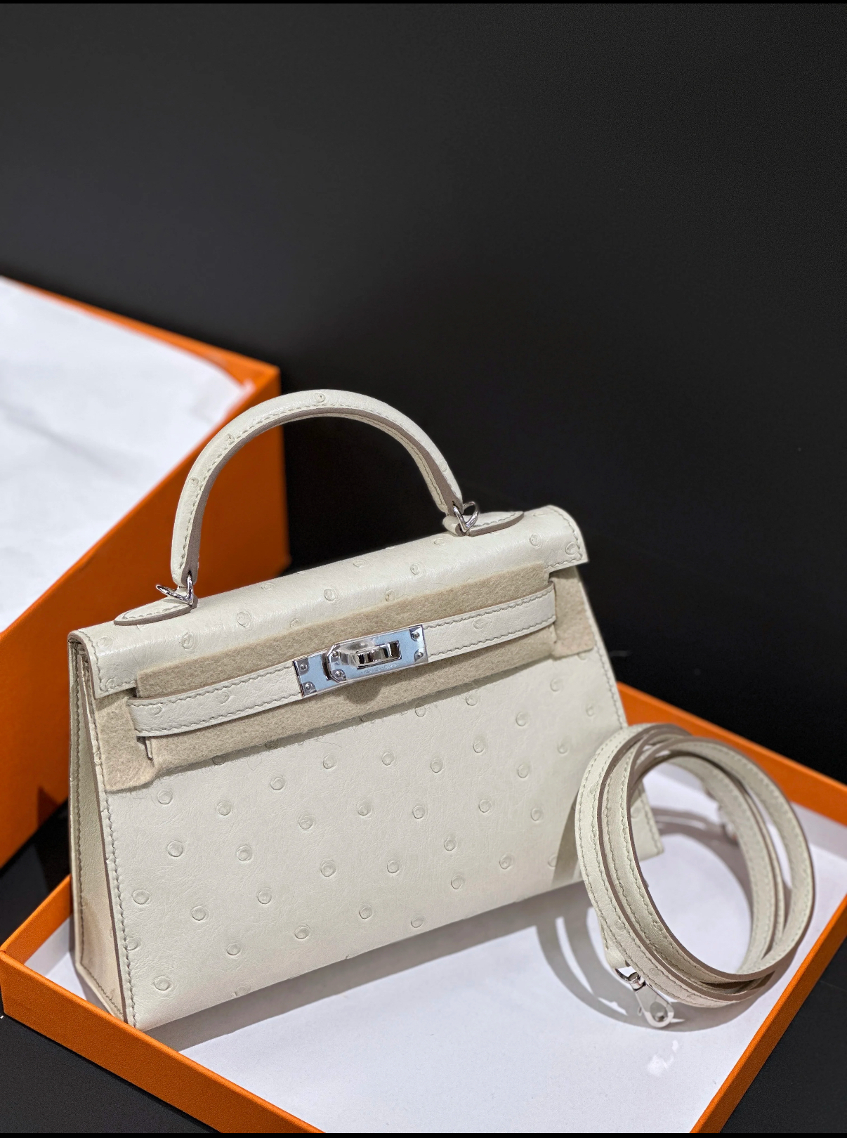 Mini Kelly II 19 Silver Buckle Glacier White Ostrich Leather Custom - Artisantouchss