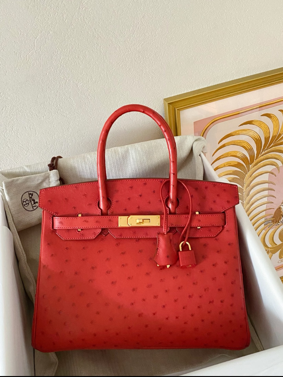 Birkin 25-35 gold buckle custom Ostrich leather - Artisantouchss