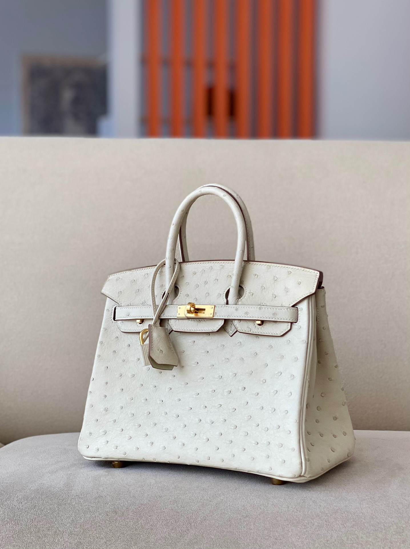 Advanced customization Birkin 25-30 - Artisantouchss