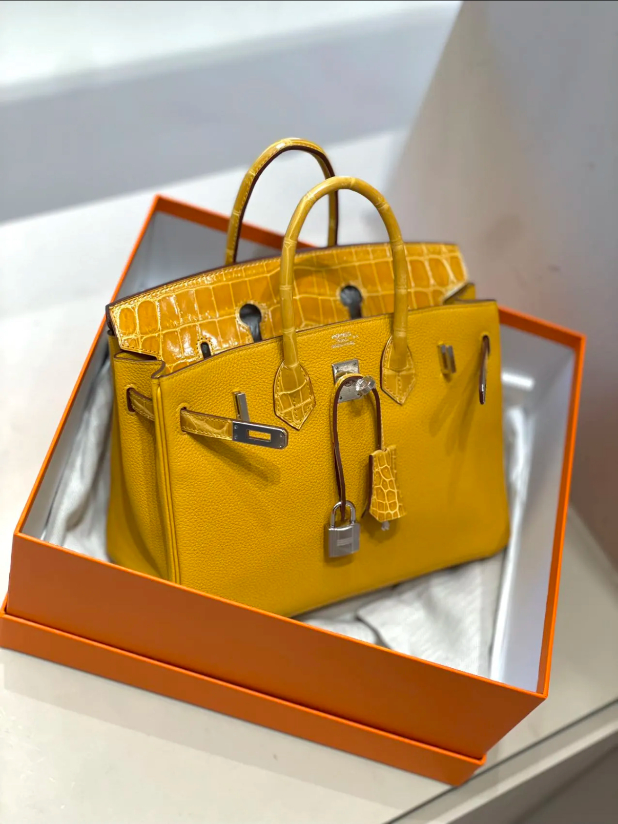 Birkin 25-30 Touch with amber silver buckle, Nile crocodile leather TOGO leather - Artisantouchss