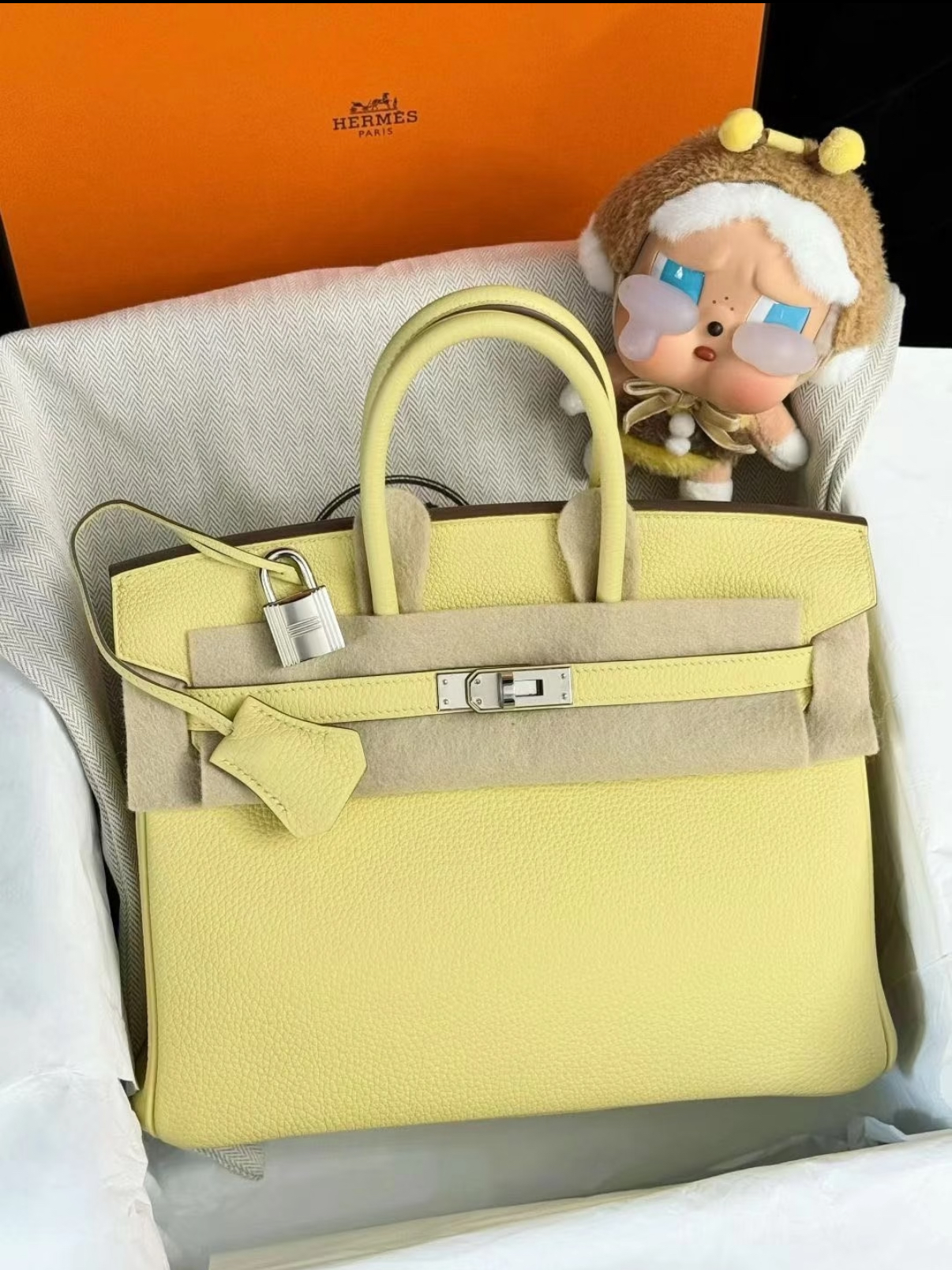 Birkin 25-30 Jaune Poulet EPSON custom - Artisantouchss