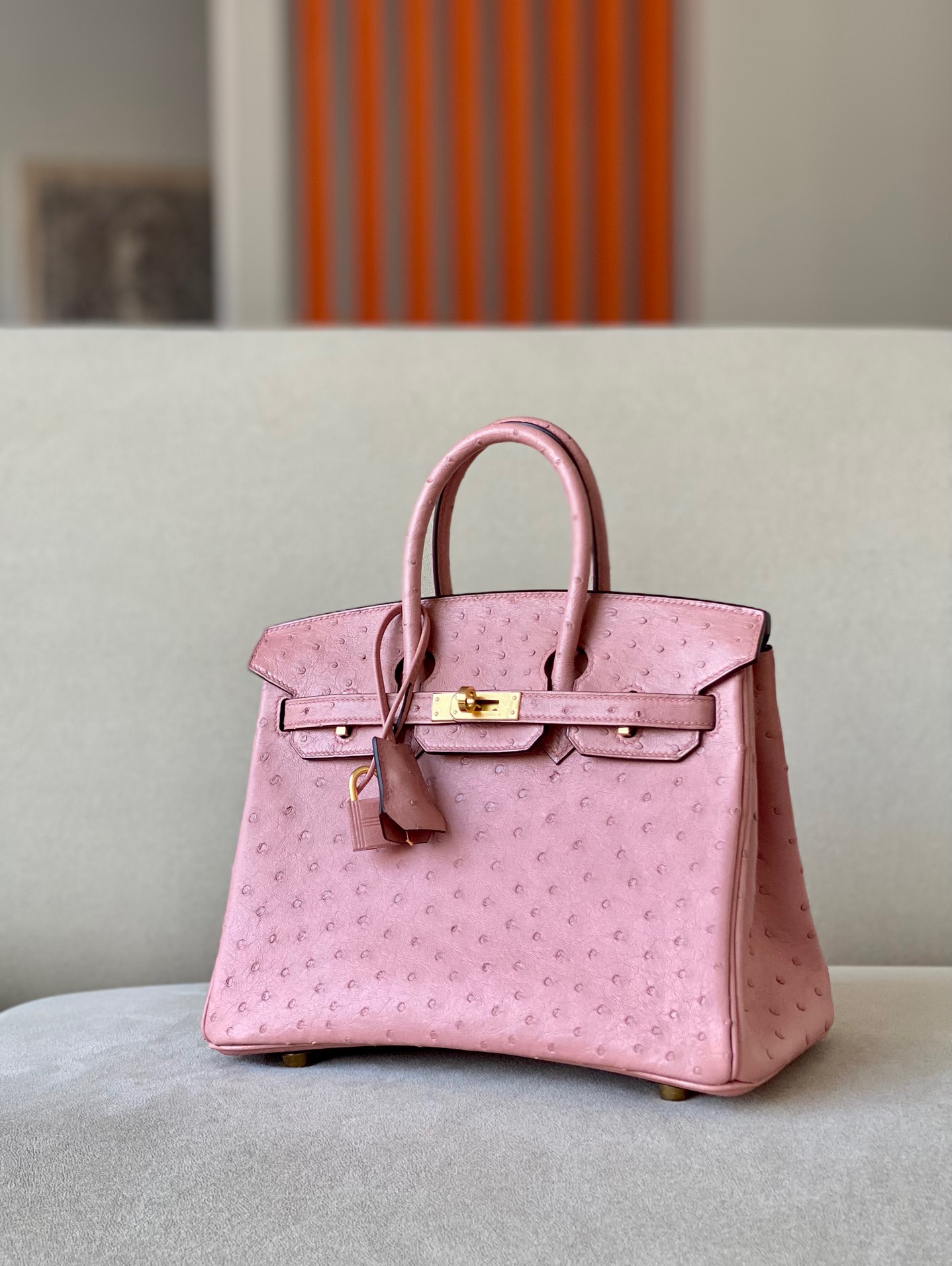 Advanced customization Birkin 25-30 Ostrich skin - Artisantouchss