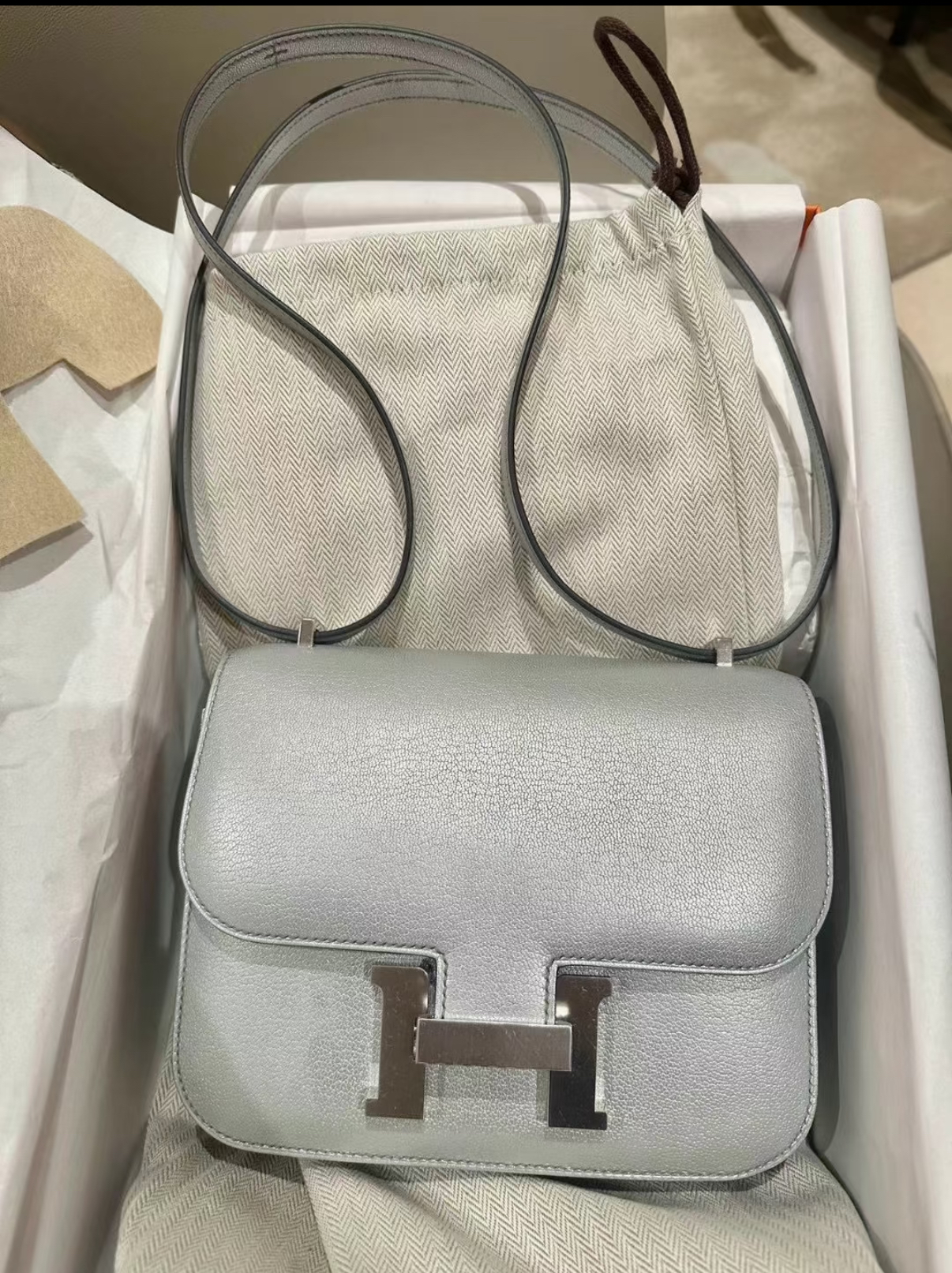 Constance 19 Olympic Silver Goatskin Custom - Artisantouchss