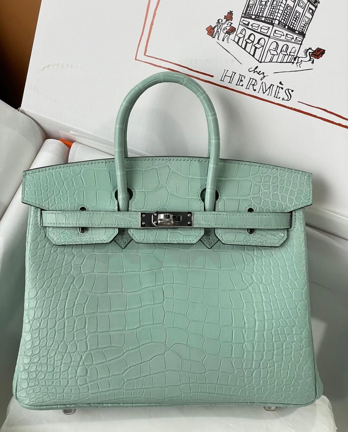 Birkin 25-30 mint green matte crocodile leather - Artisantouchss