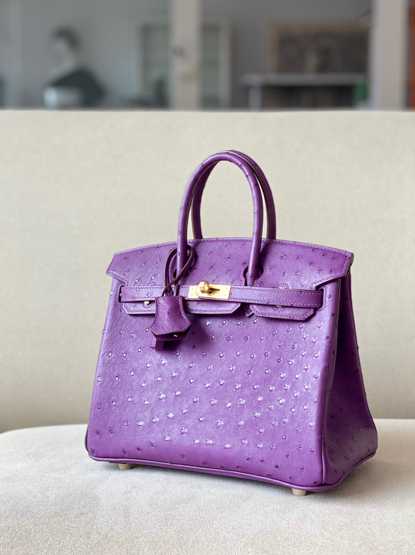 Advanced customization Birkin 25-30 Ostrich skin - Artisantouchss