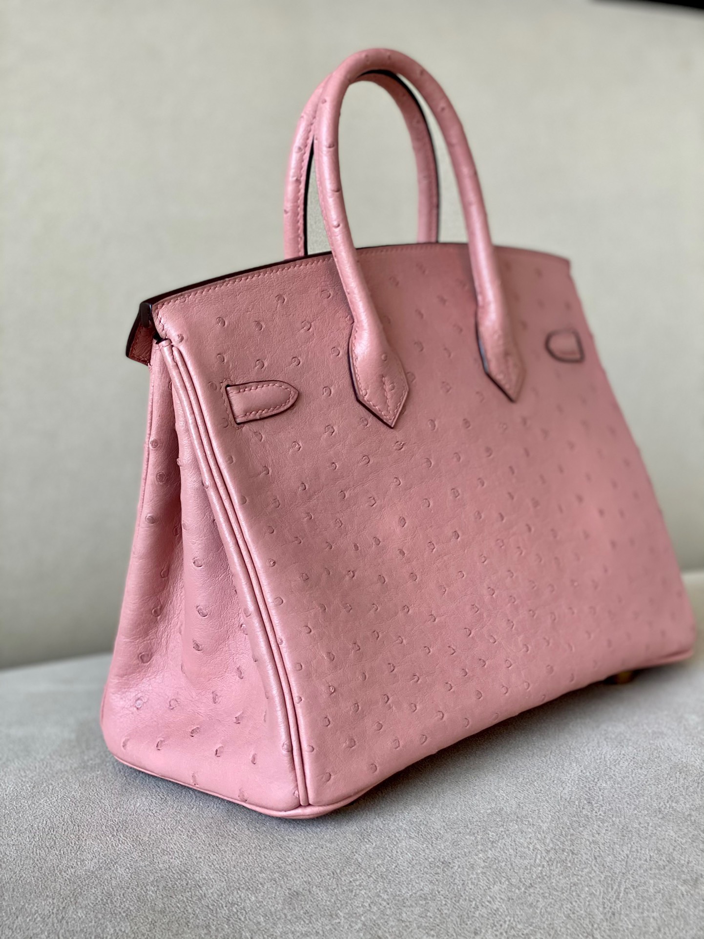 Advanced customization Birkin 25-30 Ostrich skin - Artisantouchss