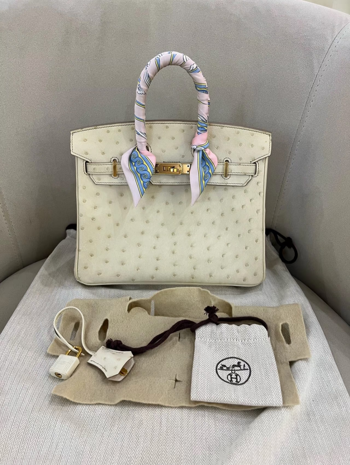 Birkin 25-30 Cream Ostrich Leather - Artisantouchss
