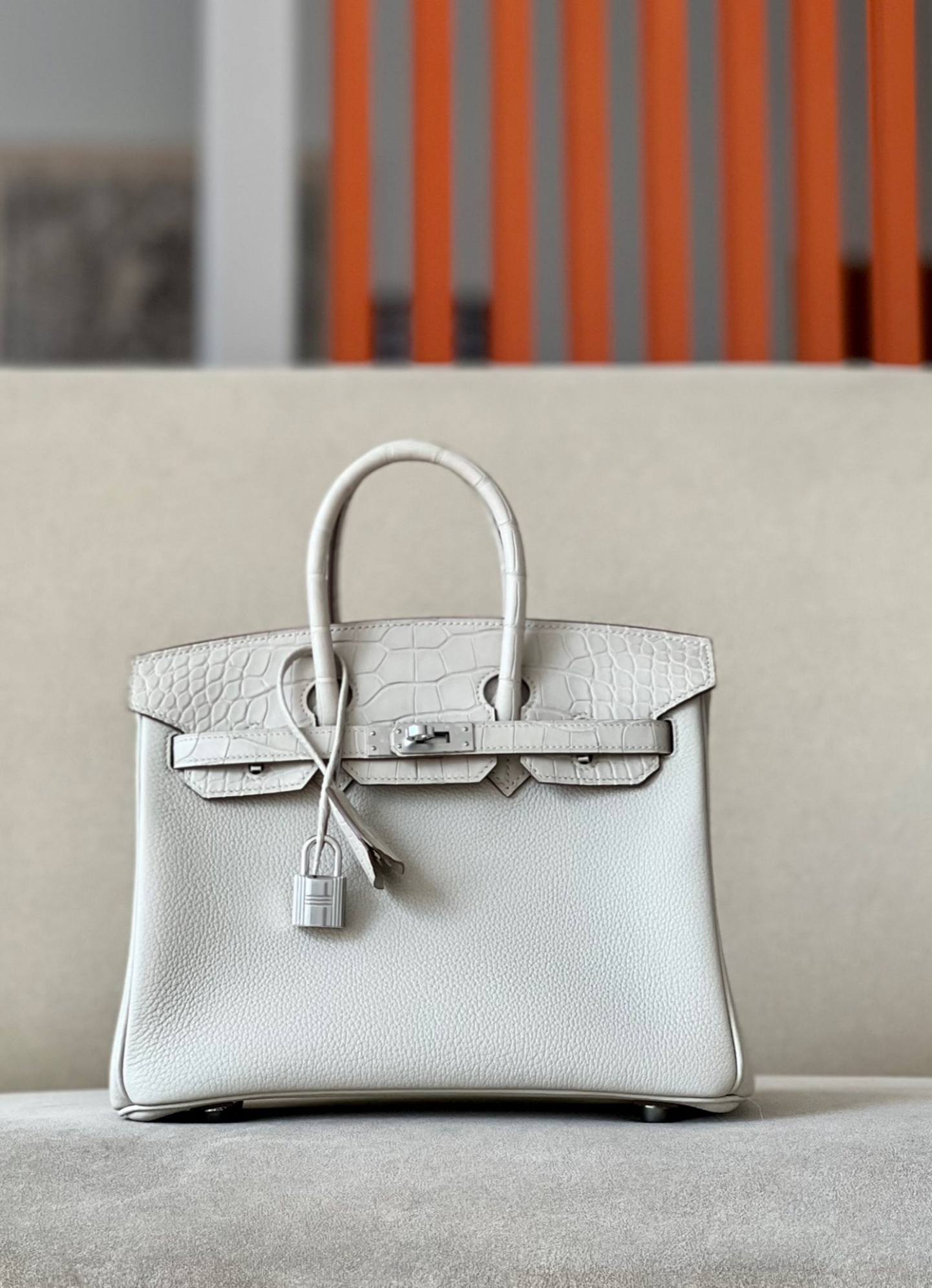 Advanced customization Birkin 25 crocodile skin - Artisantouchss