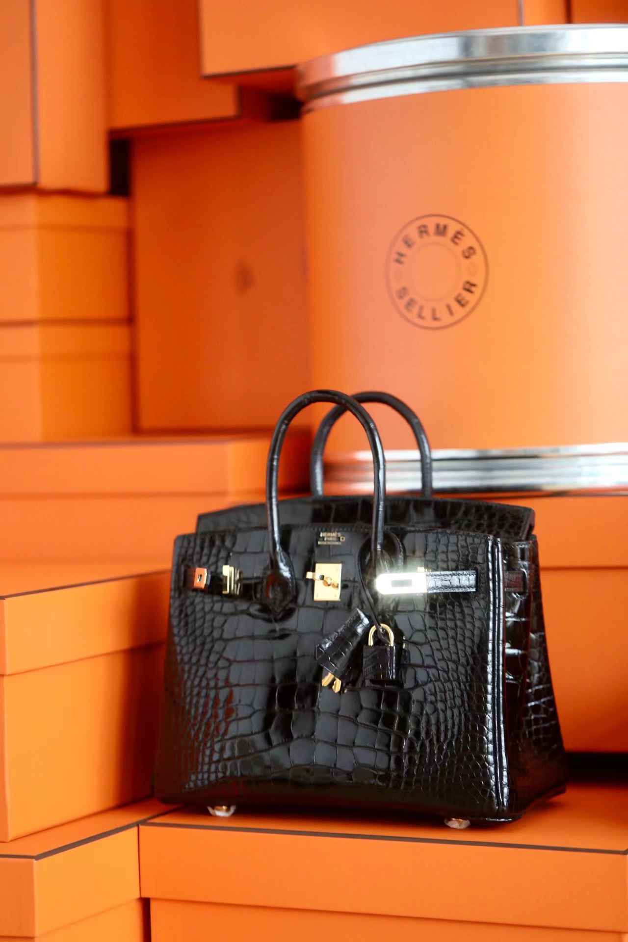 Advanced customization Birkin 20-30 crocodile skin - Artisantouchss