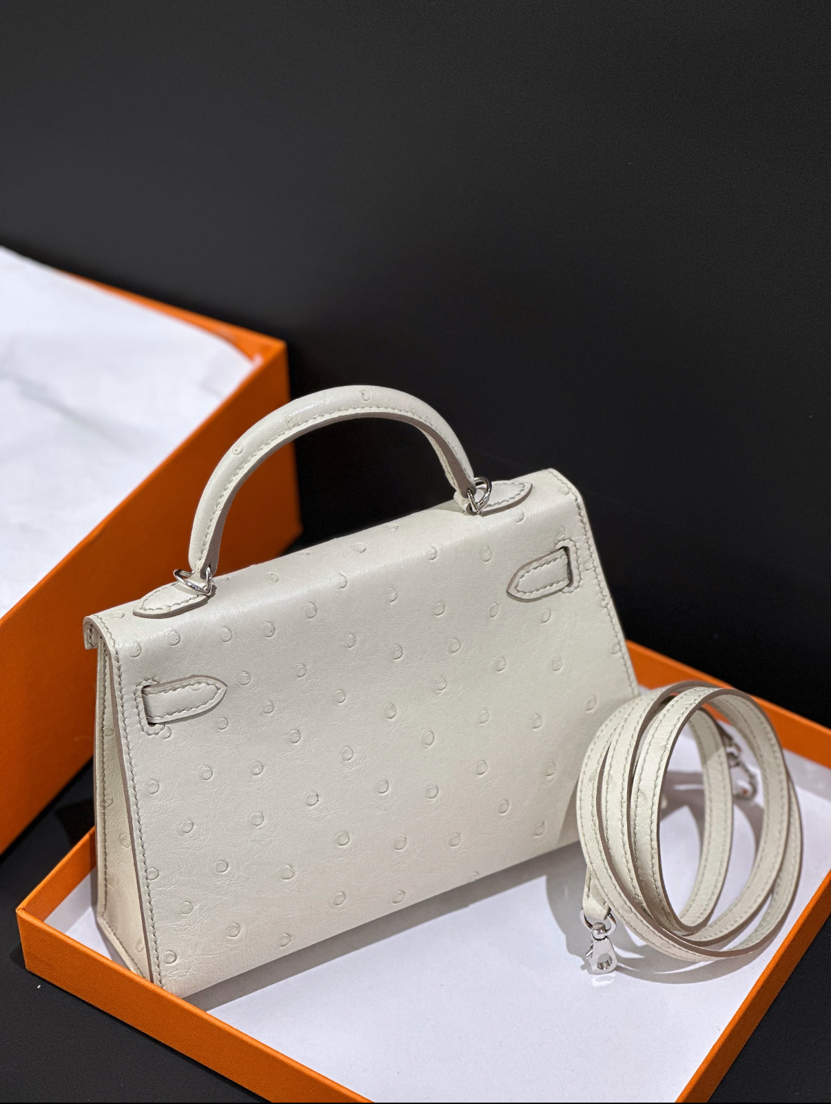 Mini Kelly II 19 Silver Buckle Glacier White Ostrich Leather Custom - Artisantouchss