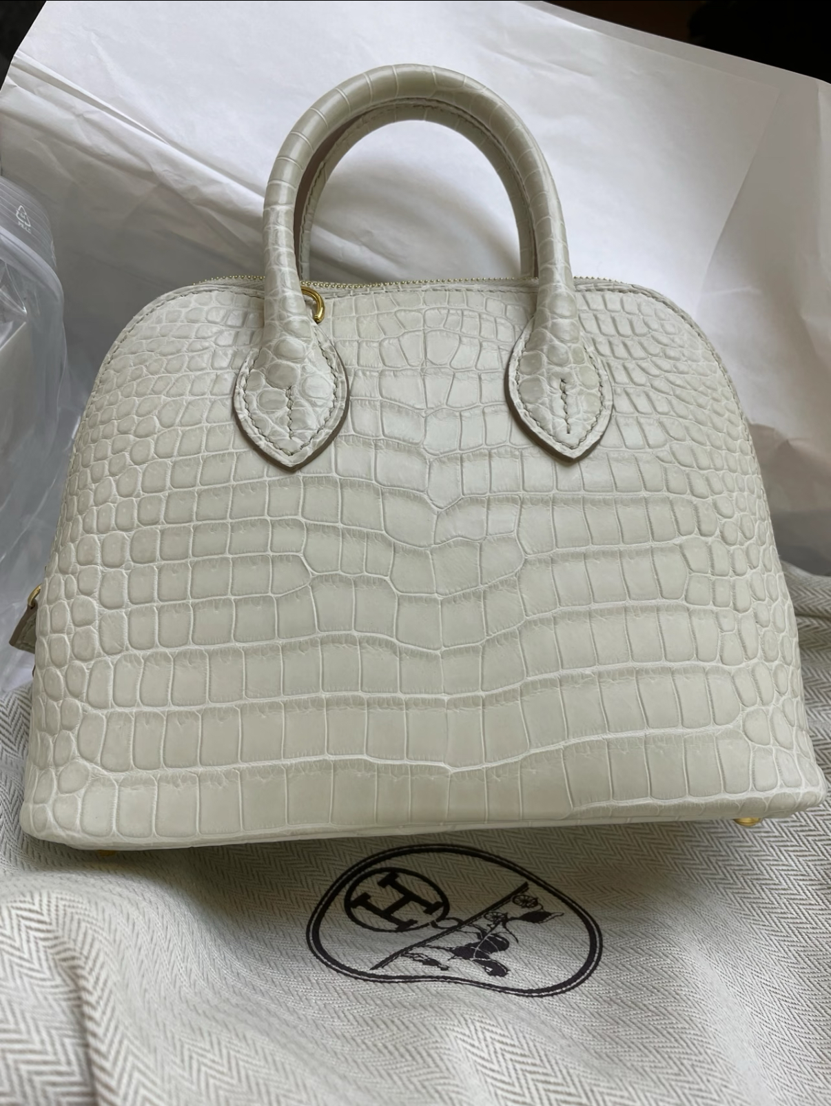 Bolide Mini 18CM Matte crocodile leather beige - Artisantouchss