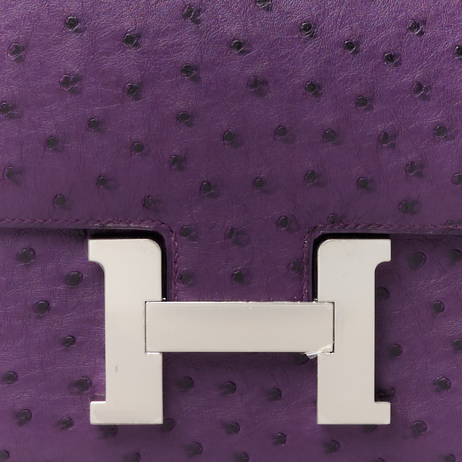 Ostrich Constance 24 Violine