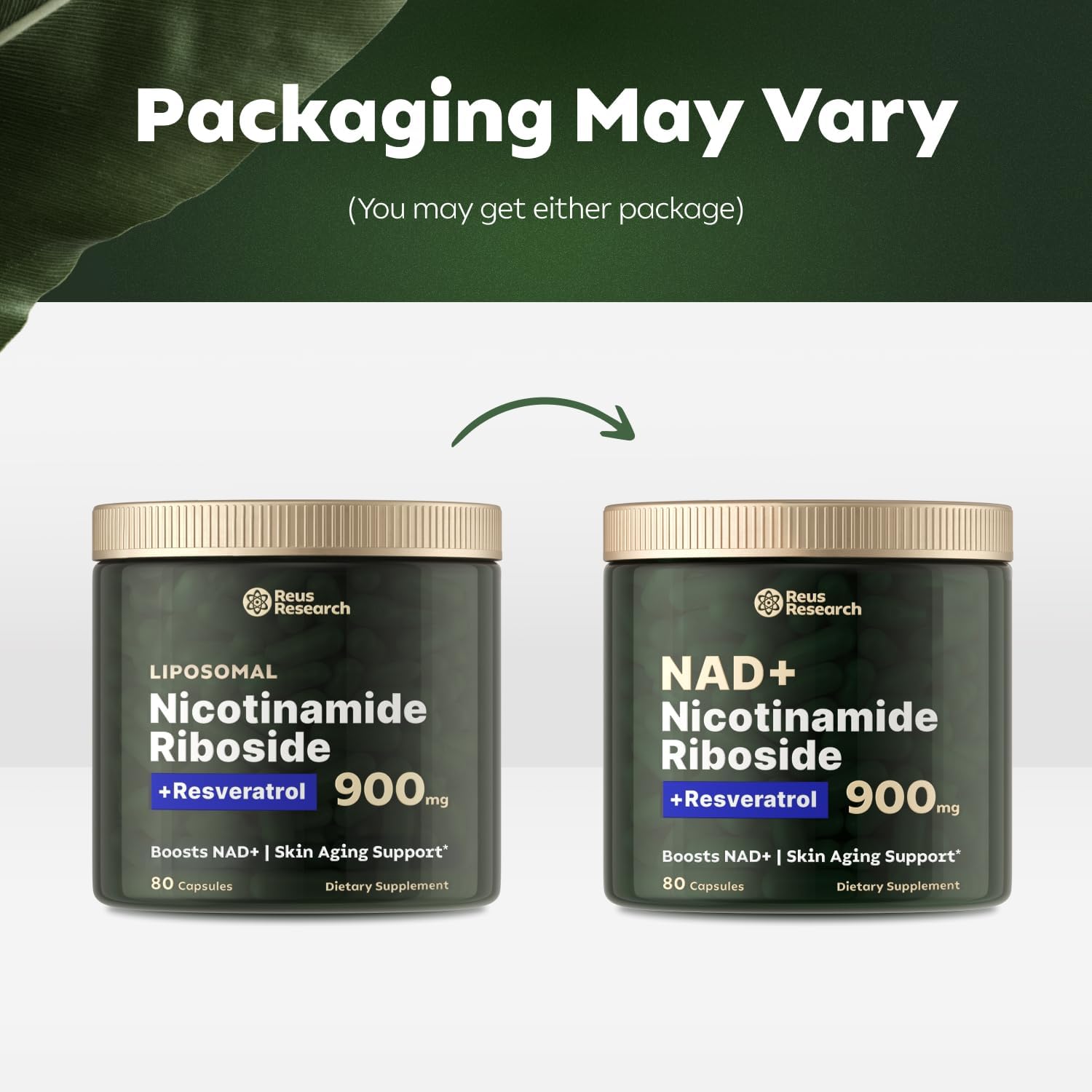 Reus Research NAD+ Supplement