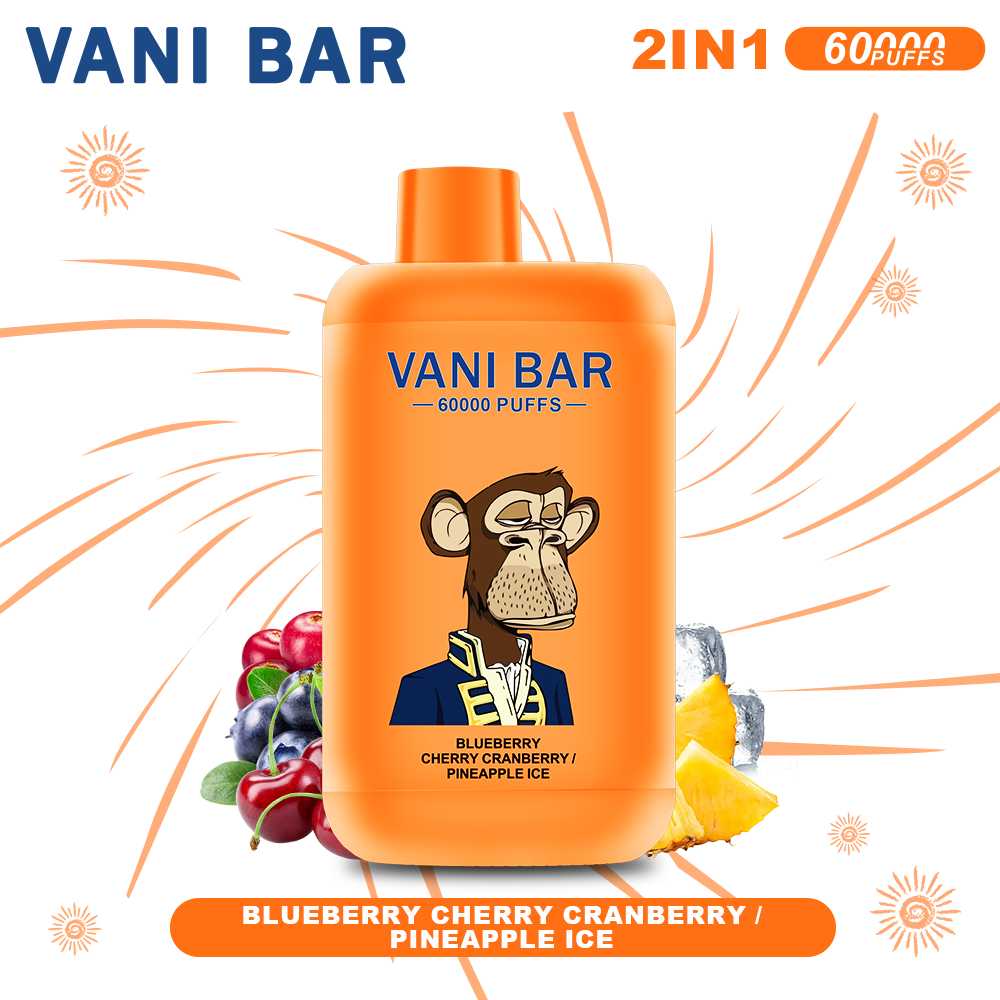 Januar 2026 | Neue Produkte 【VANI BAR】60000 PUFFS 2-in-1 & Brombeer-Kirsch-Brombeer/Ananas-Eiscreme