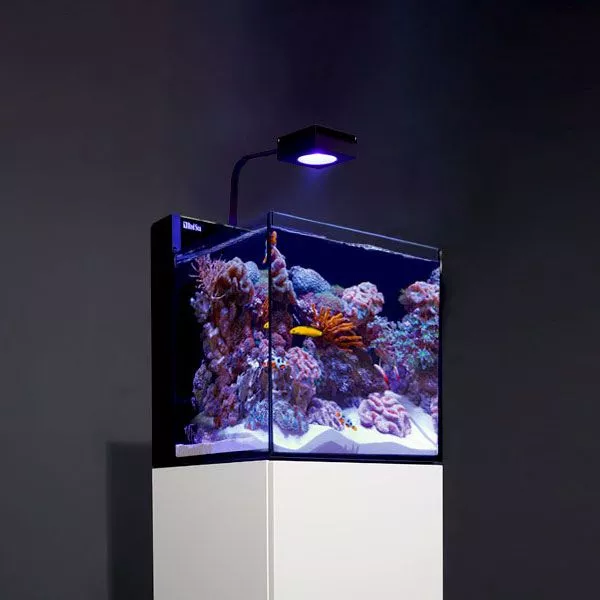 MAX NANO G2 Complete Reef System - Red Sea