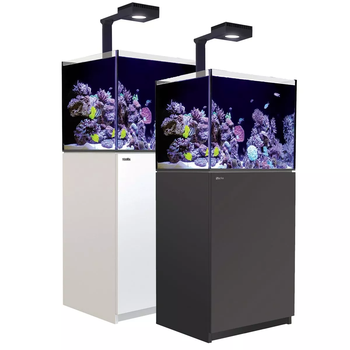 Reefer MAX 170 G2+ System (33 Gal)