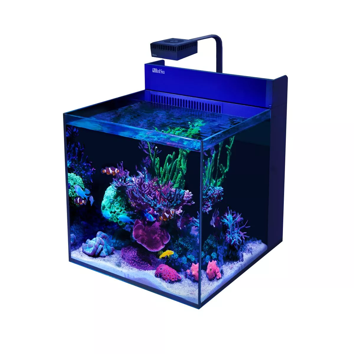 MAX NANO G2 XL Complete Reef System - Red Sea