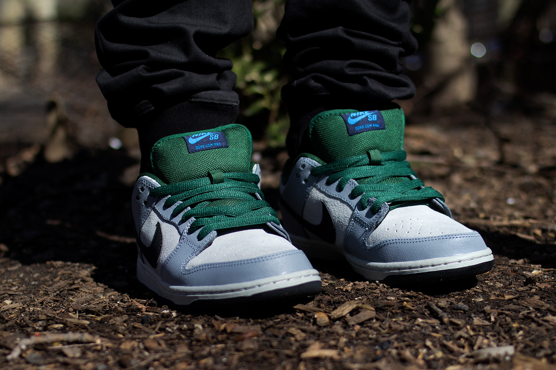 Dunk Low Premium SB ‘Maple Leaf’ 313170-021