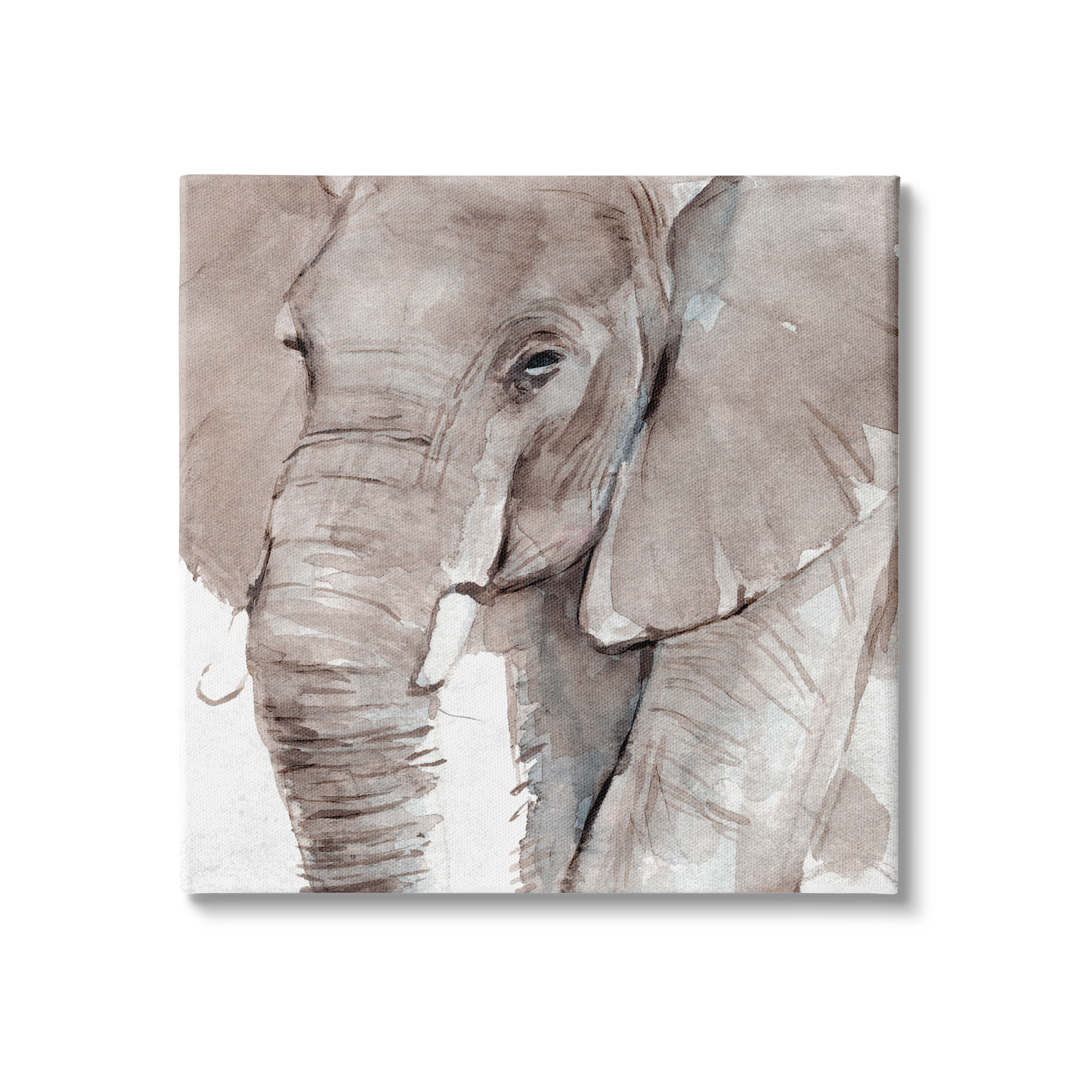Stupell Industries Elephant Trunk Animal Portrait Grey Wrinkles Small Husks, 36 x 36, Design by Annie Warren