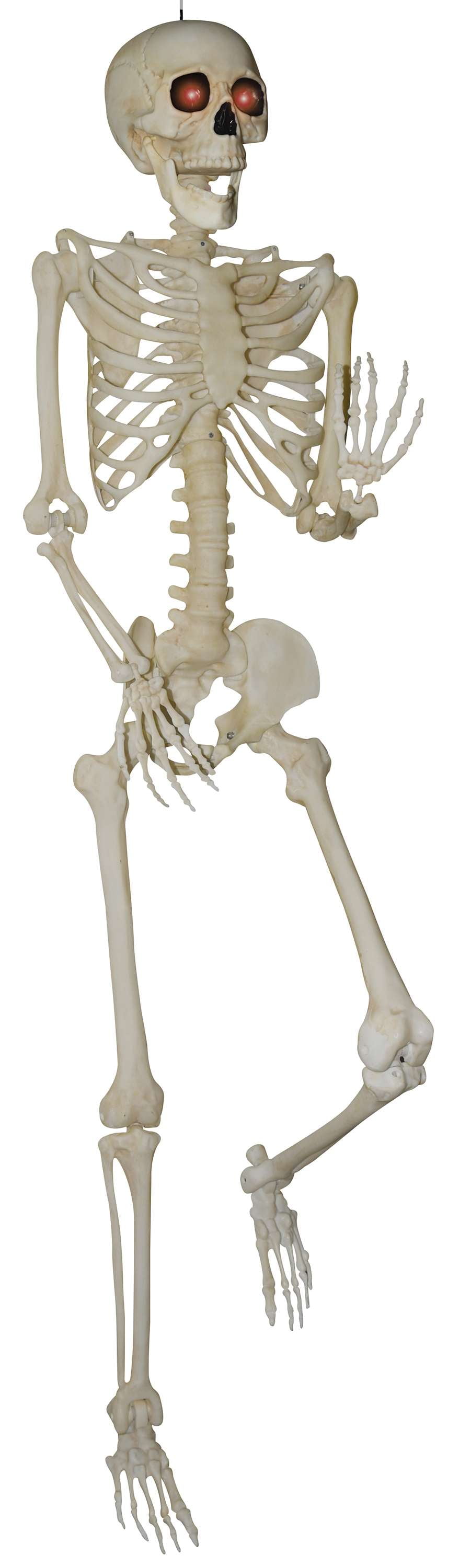 84-inch Tall Plastic Posable Skeleton in Bone Color Way to Celebrate Halloween Décor