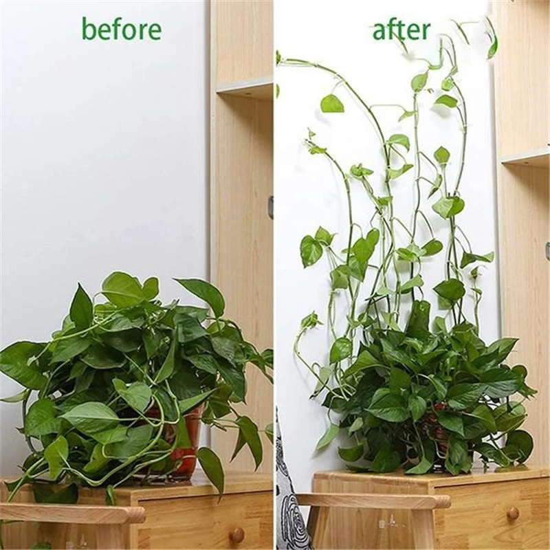 Plant Climbing Wall Fixture - SUPERMADE™